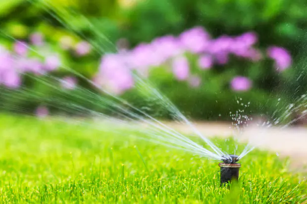 Garten bewässern
