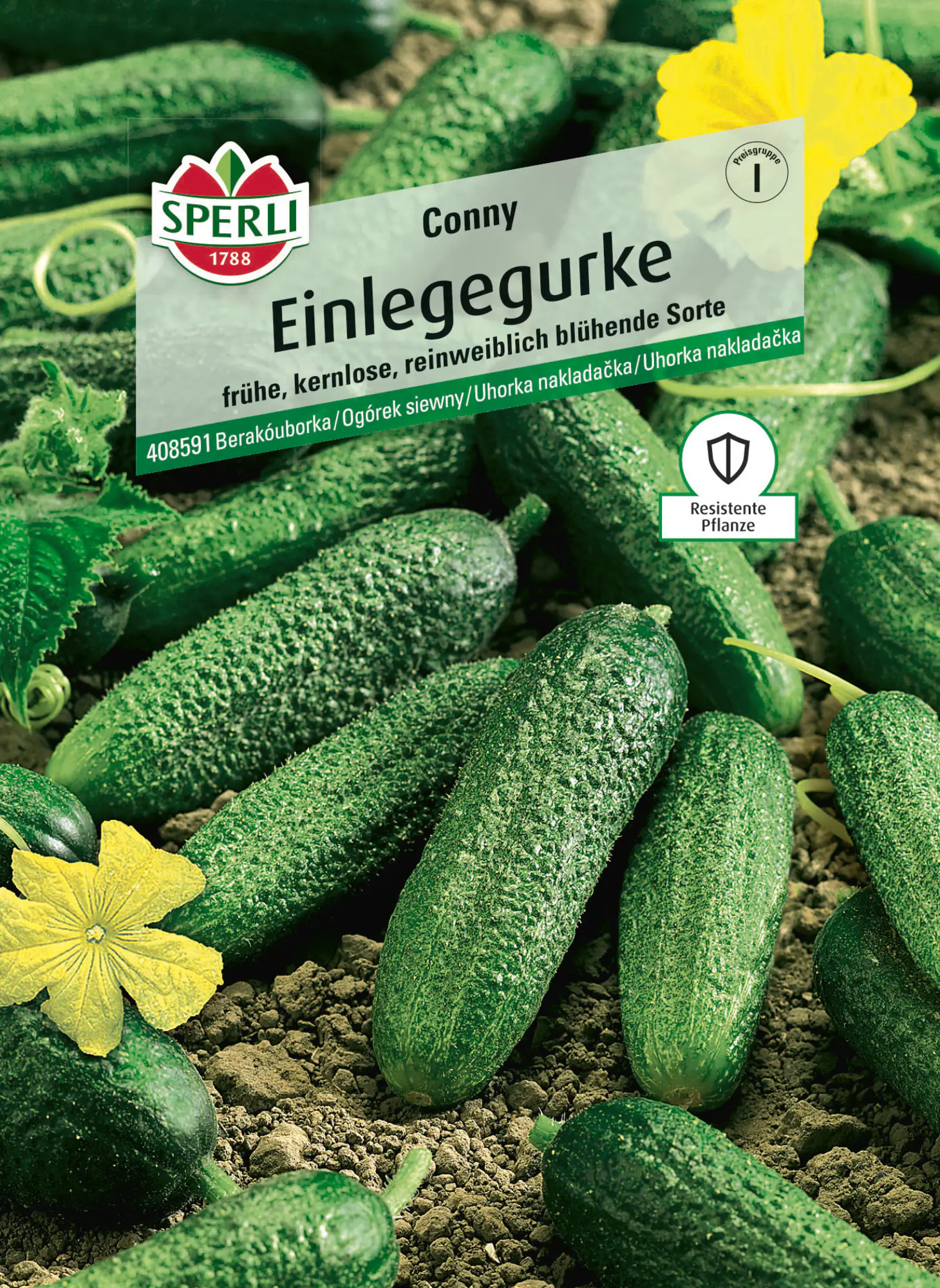 Sperli Saatgut Einlegegurken Conny F1 für ca. 20 Pflanzen