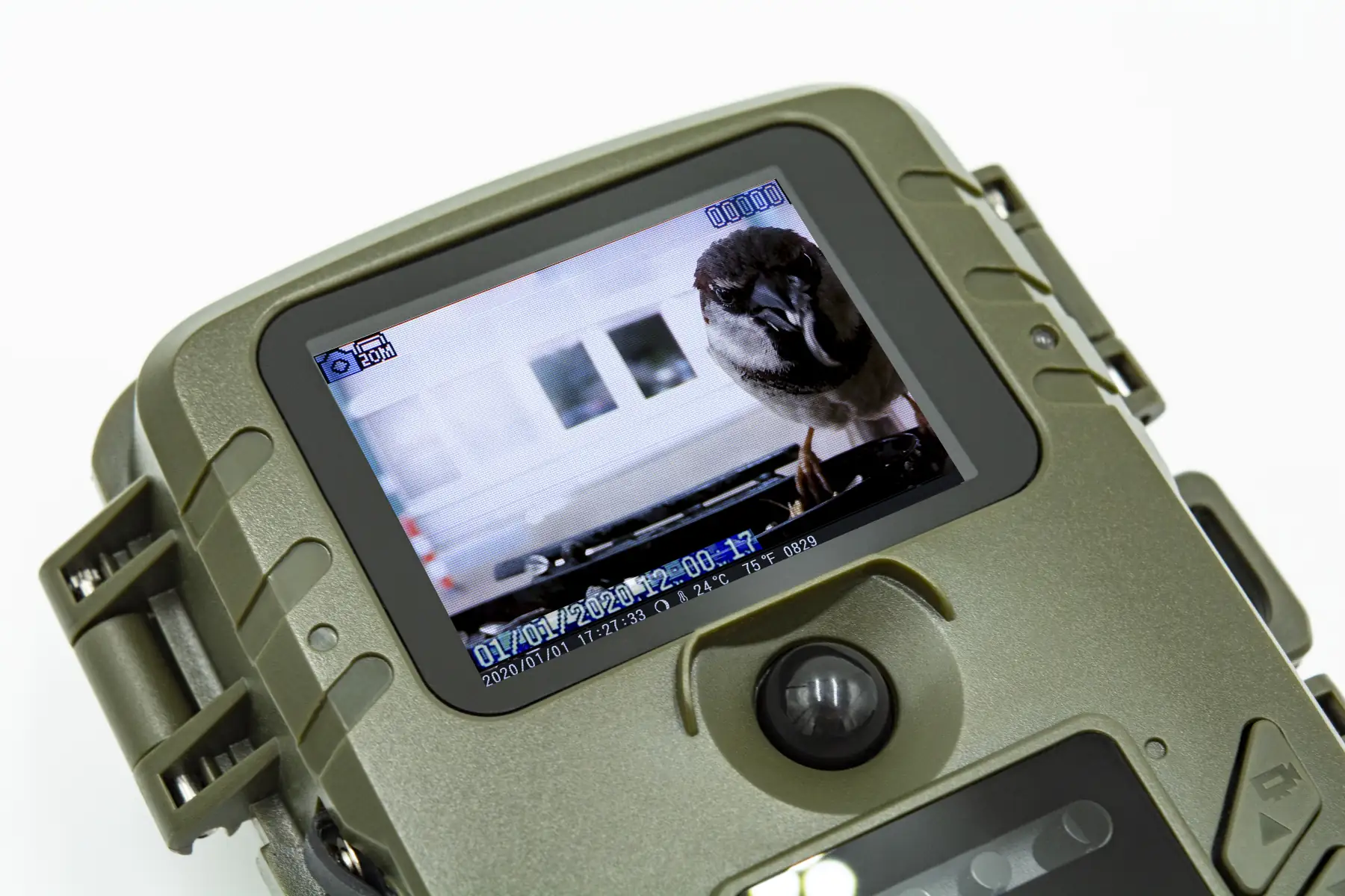 Technaxx Vogelkamera Birdcam TX-165 Full HD, Nachtmodus