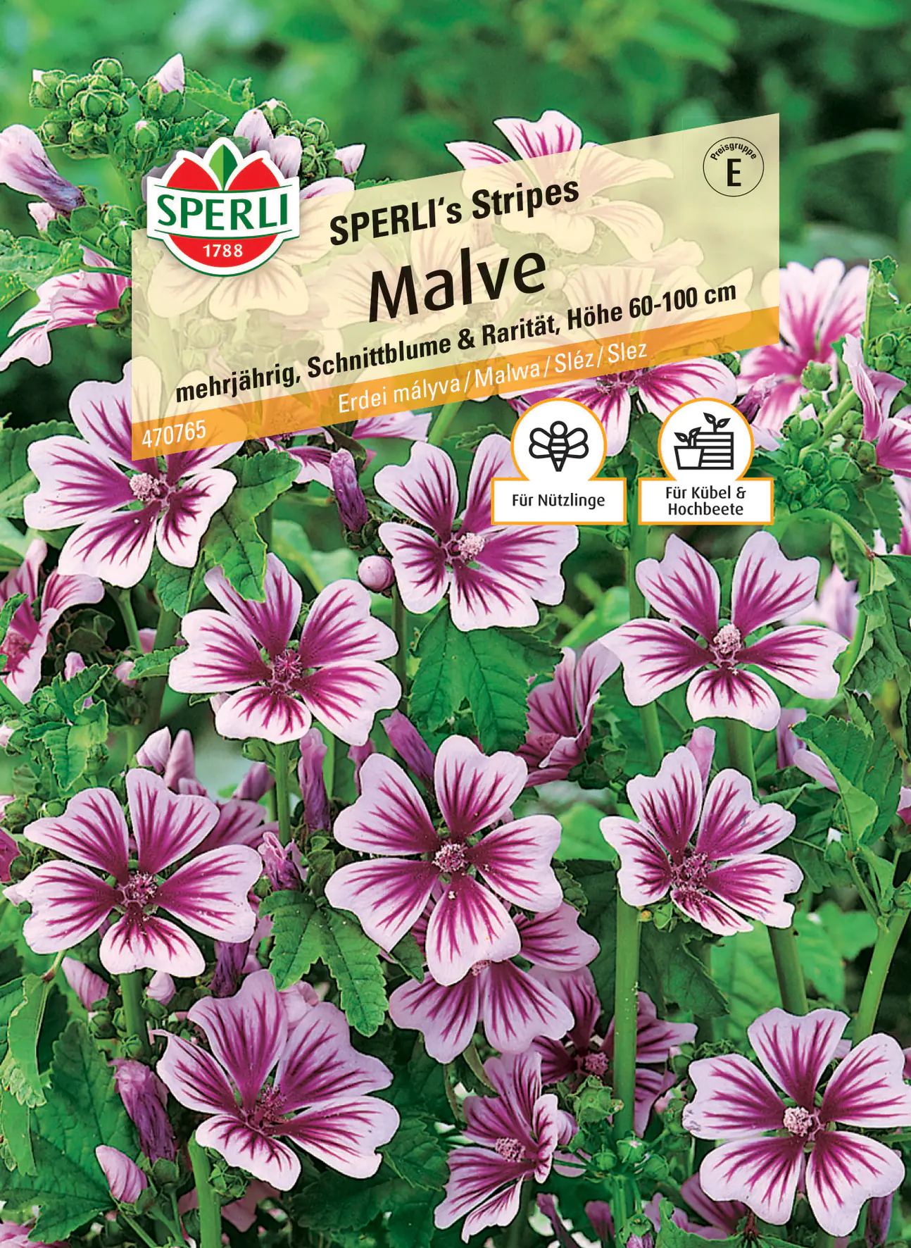 Sperli Malve SPERLI's Stripes