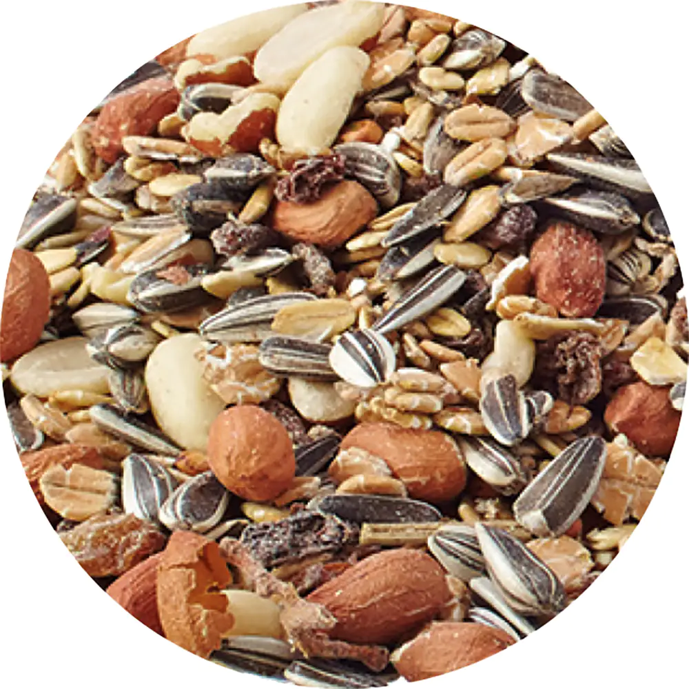 Elles Wildvogelmix 3 kg