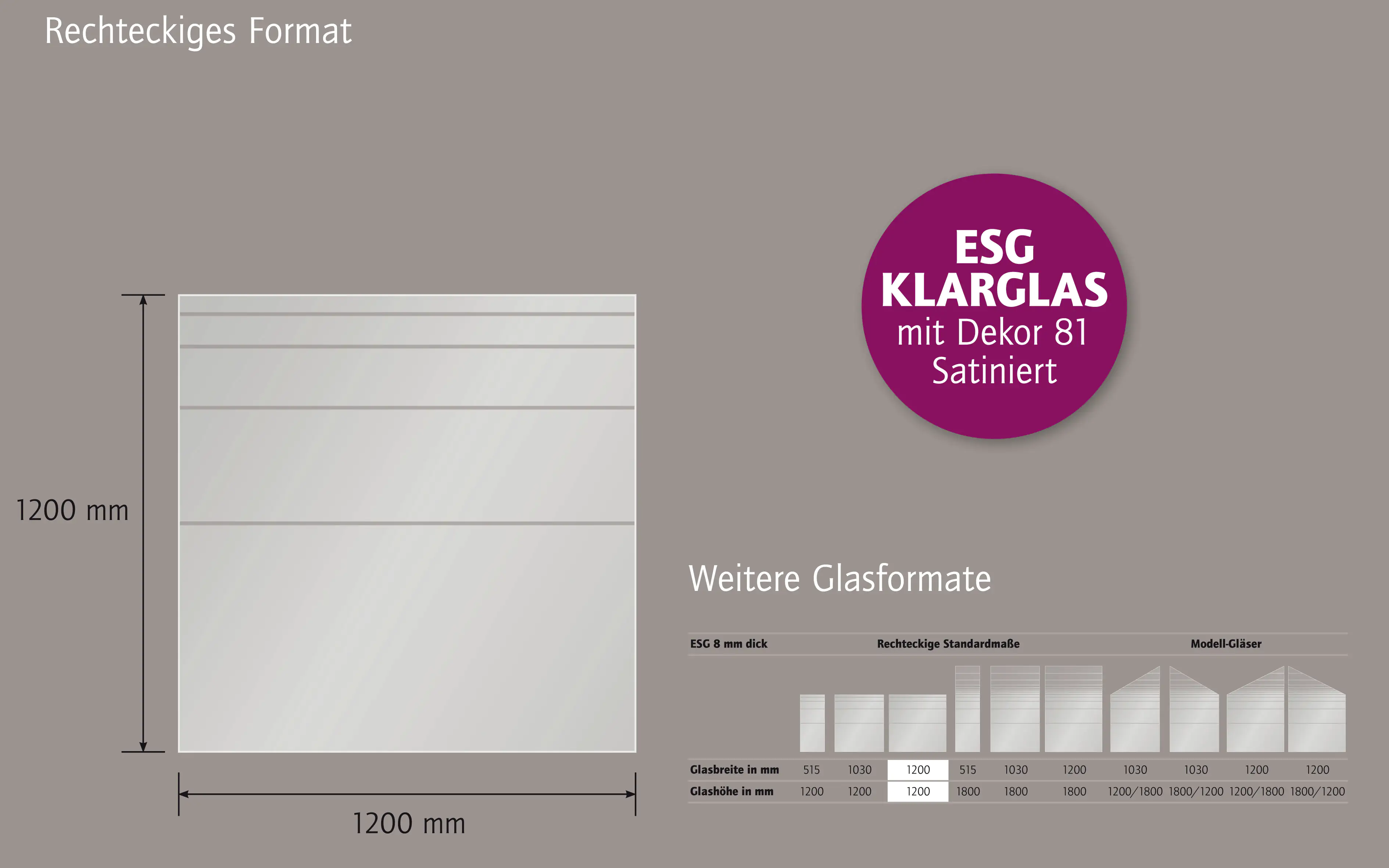 Ambiente Glaszaun Dekor 81 120 x 120 cm gehärtetes 8 mm Glas