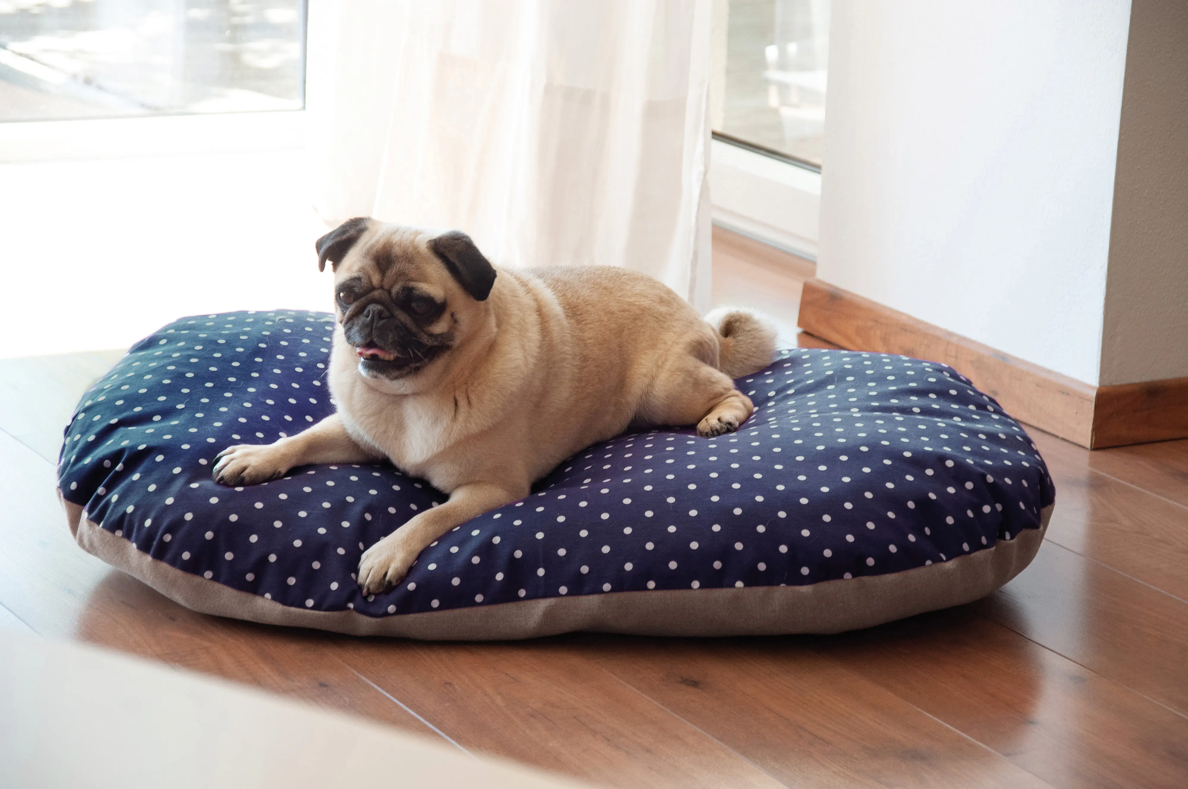Aumüller Hundekissen Dots 65 x 45 x 12 cm dunkelblau beige