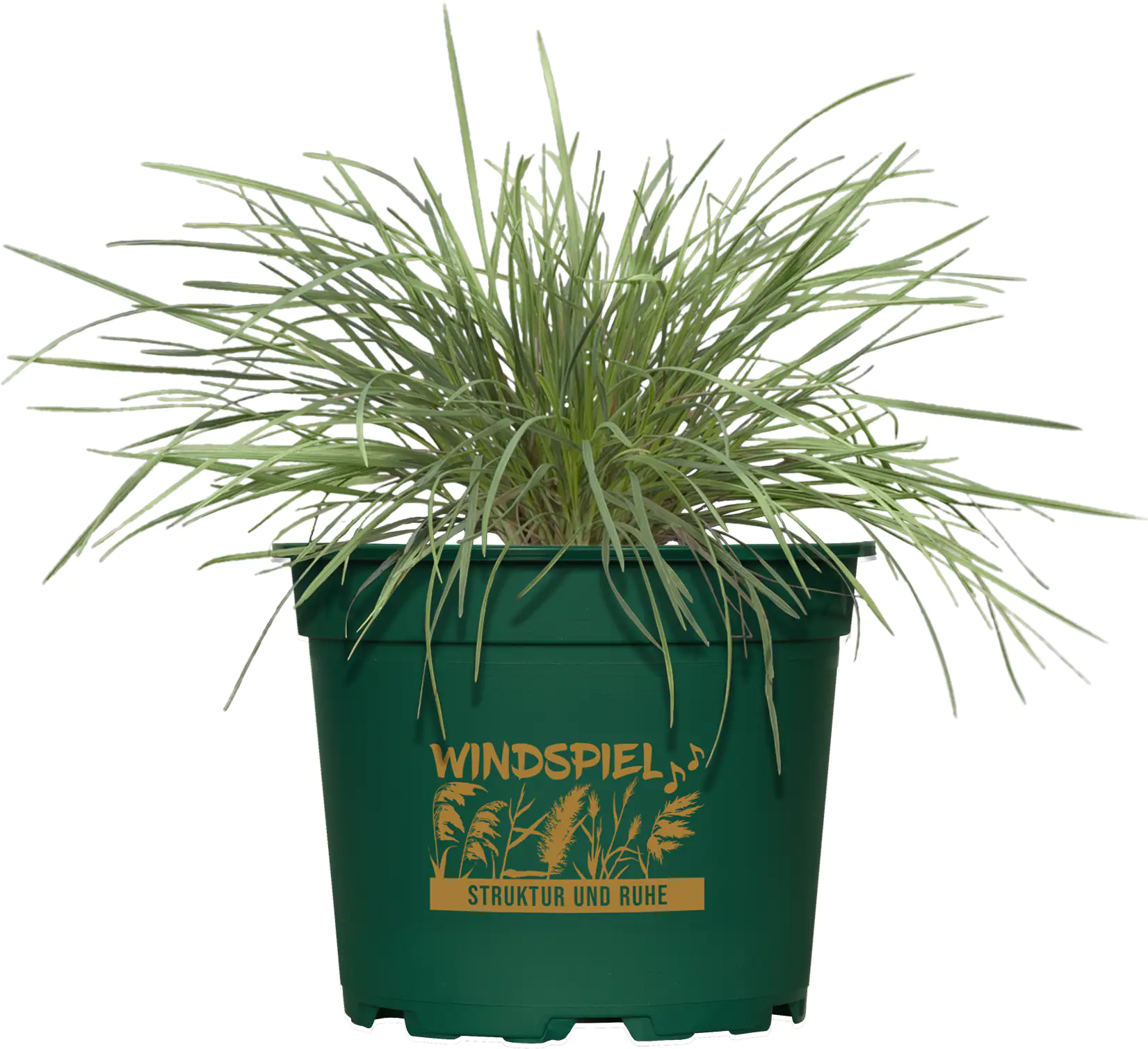 Gräsermix Windspiel 17 cm Topf