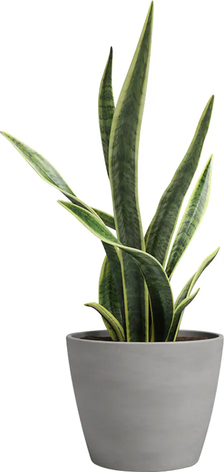 Artevasi Pflanztopf Emília Terrakotta grau Ø 36 x 31 cm