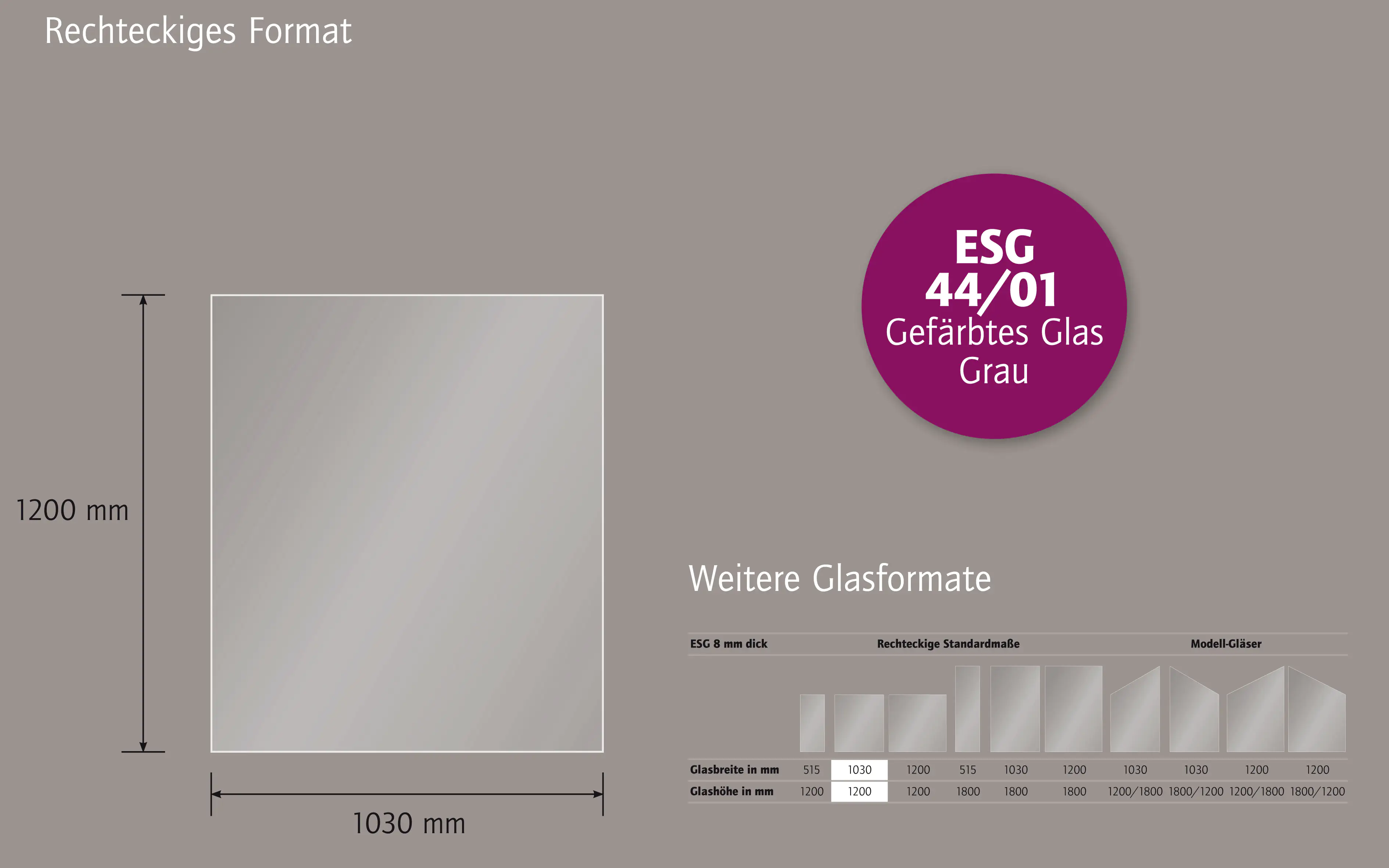 Ambiente Glaszaun B x H: 103 cm x 120 cm, gehärtetes 8 mm Glas
