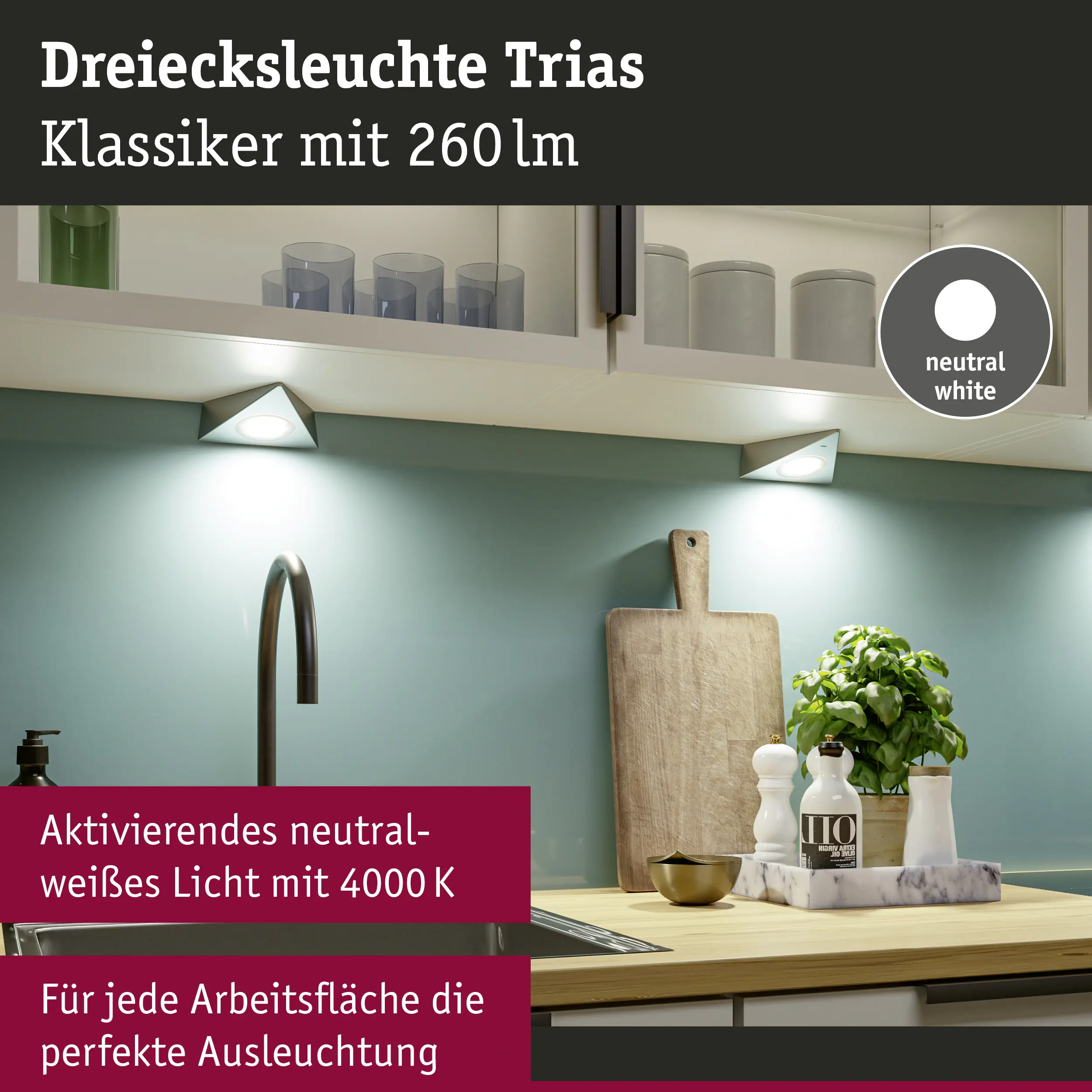 Paulmann LED Unterbauleuchte Trias eisen gebürstet neutralweiß 3 er Set