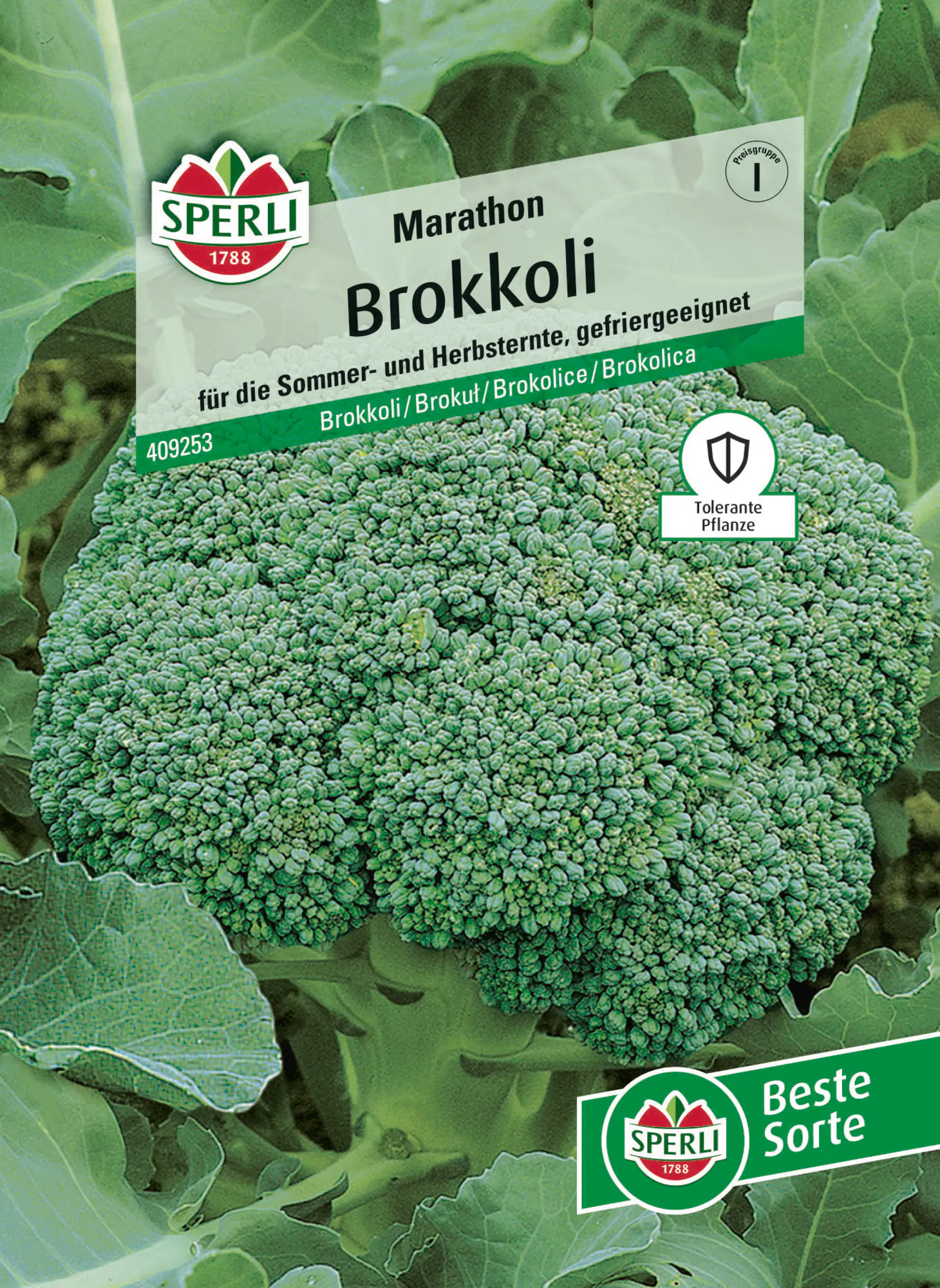 Sperli Saatgut Brokkoli Marathon F1 für ca. 35 Pflanzen