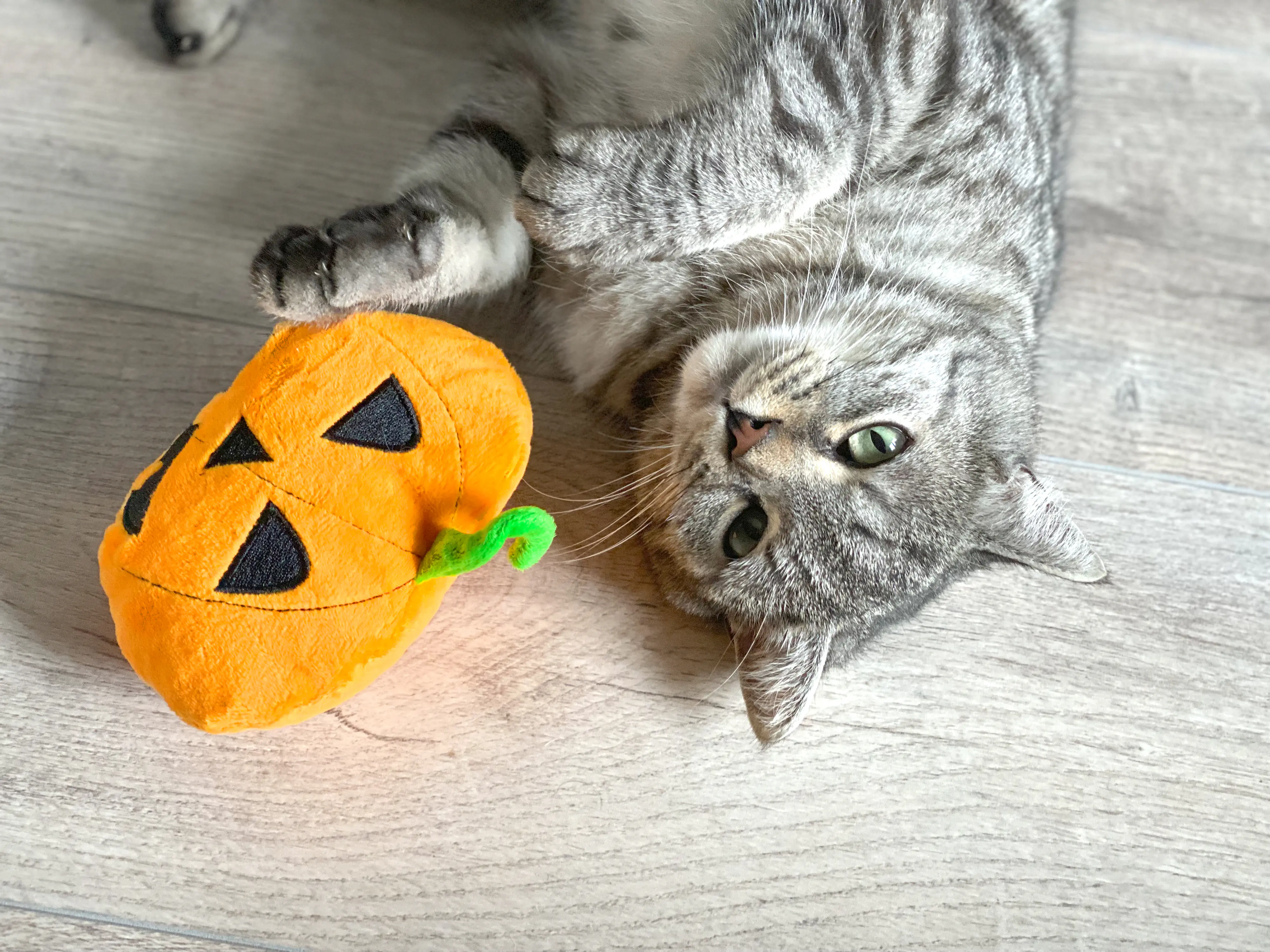 Aumüller Katzenspielzeug Kürbis 15 cm orange