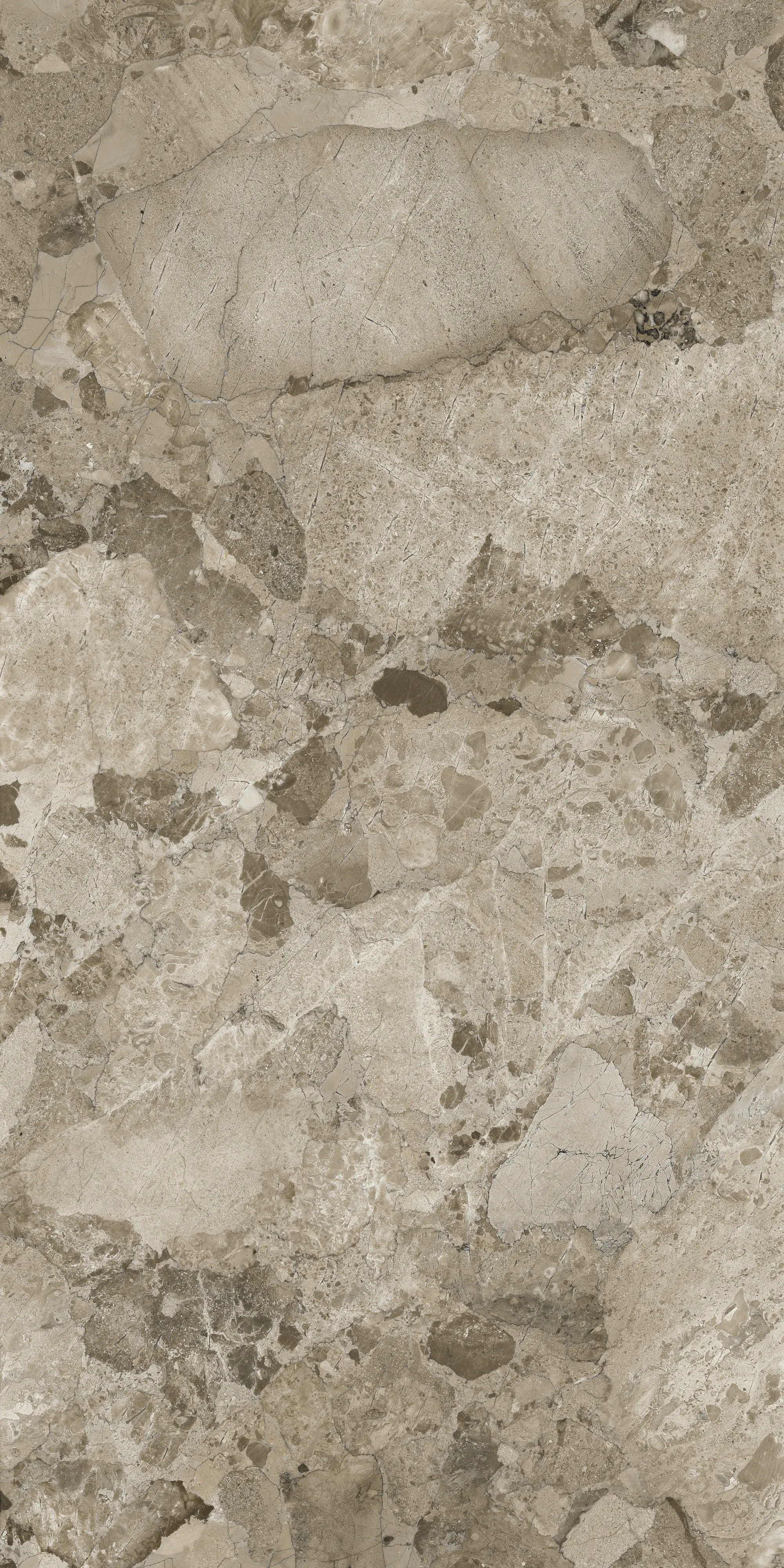 Bodenfliese Feinsteinzeug Coppo di Como 60 x 120 cm taupe