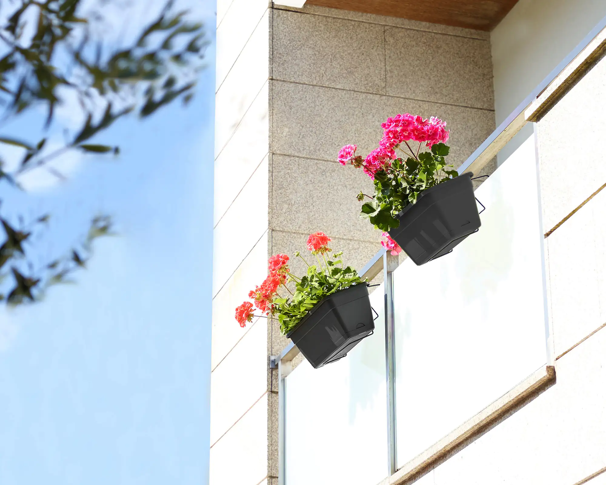 Blumenkasten Venezia 50 cm, anthrazit