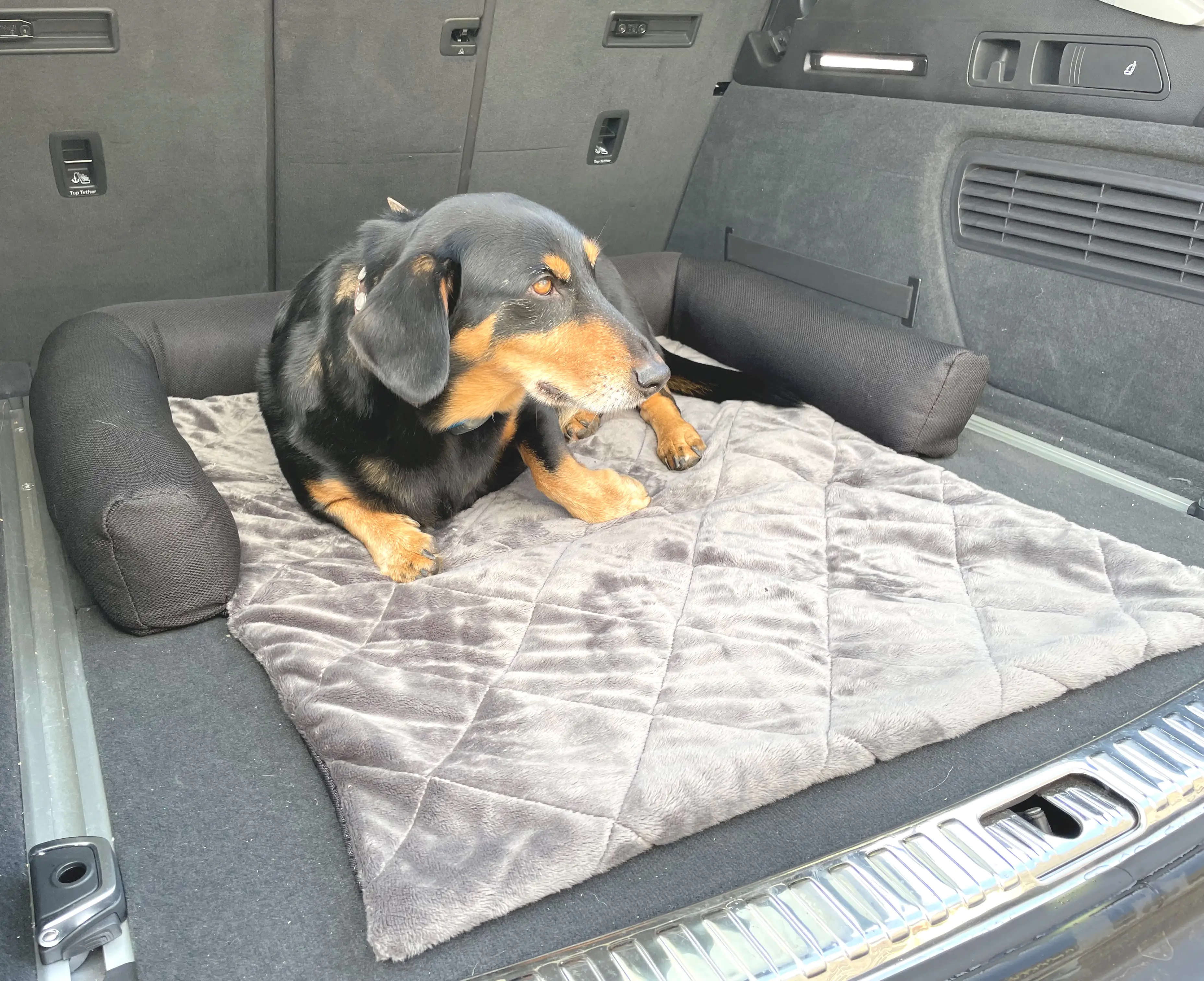 Lebon Hundebett Camil Sofa- & Reisebett eckig L 90 x B 55 x H 12 cm