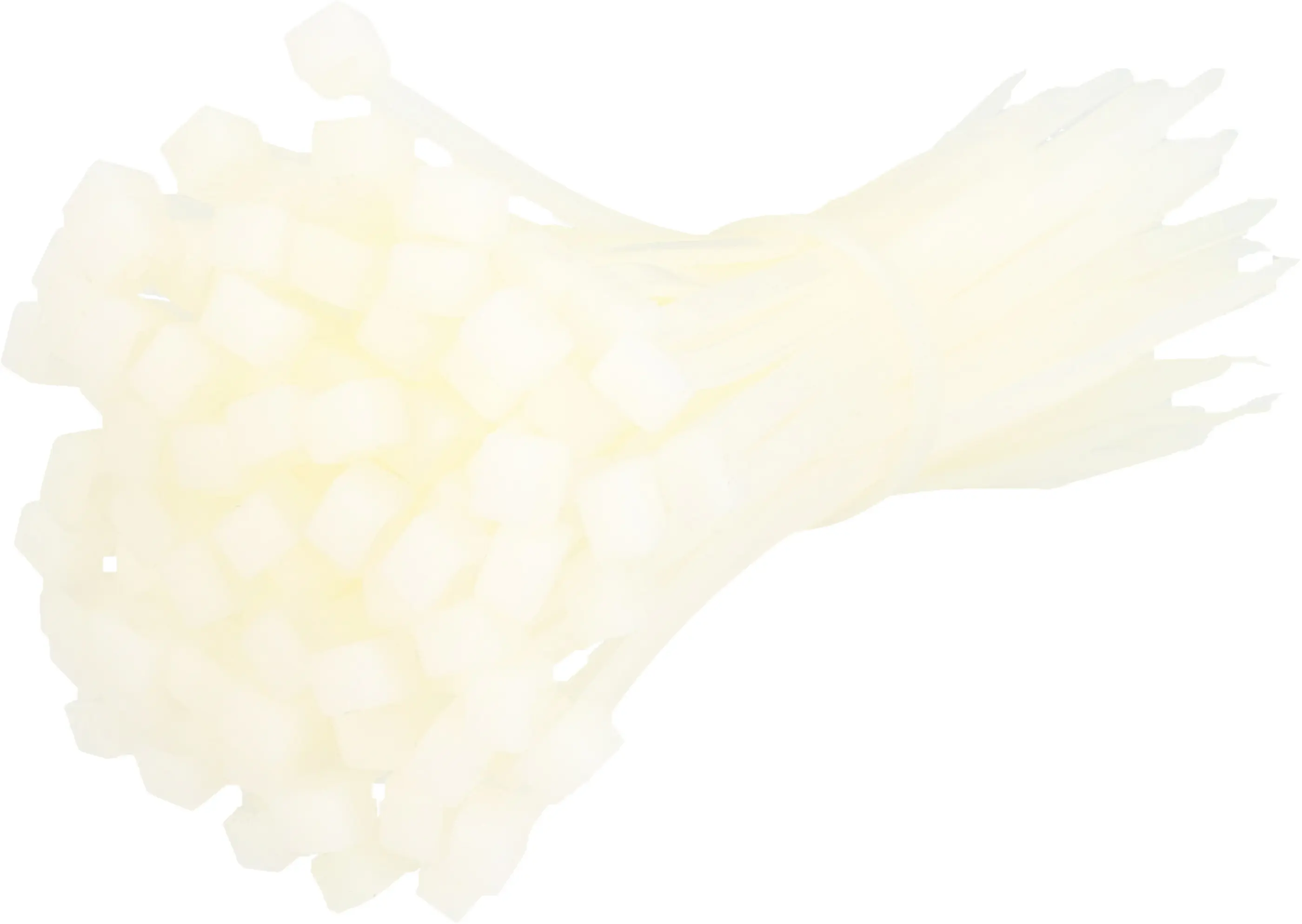 Unitec Kabelbinder 10 cm natur 100 Stück