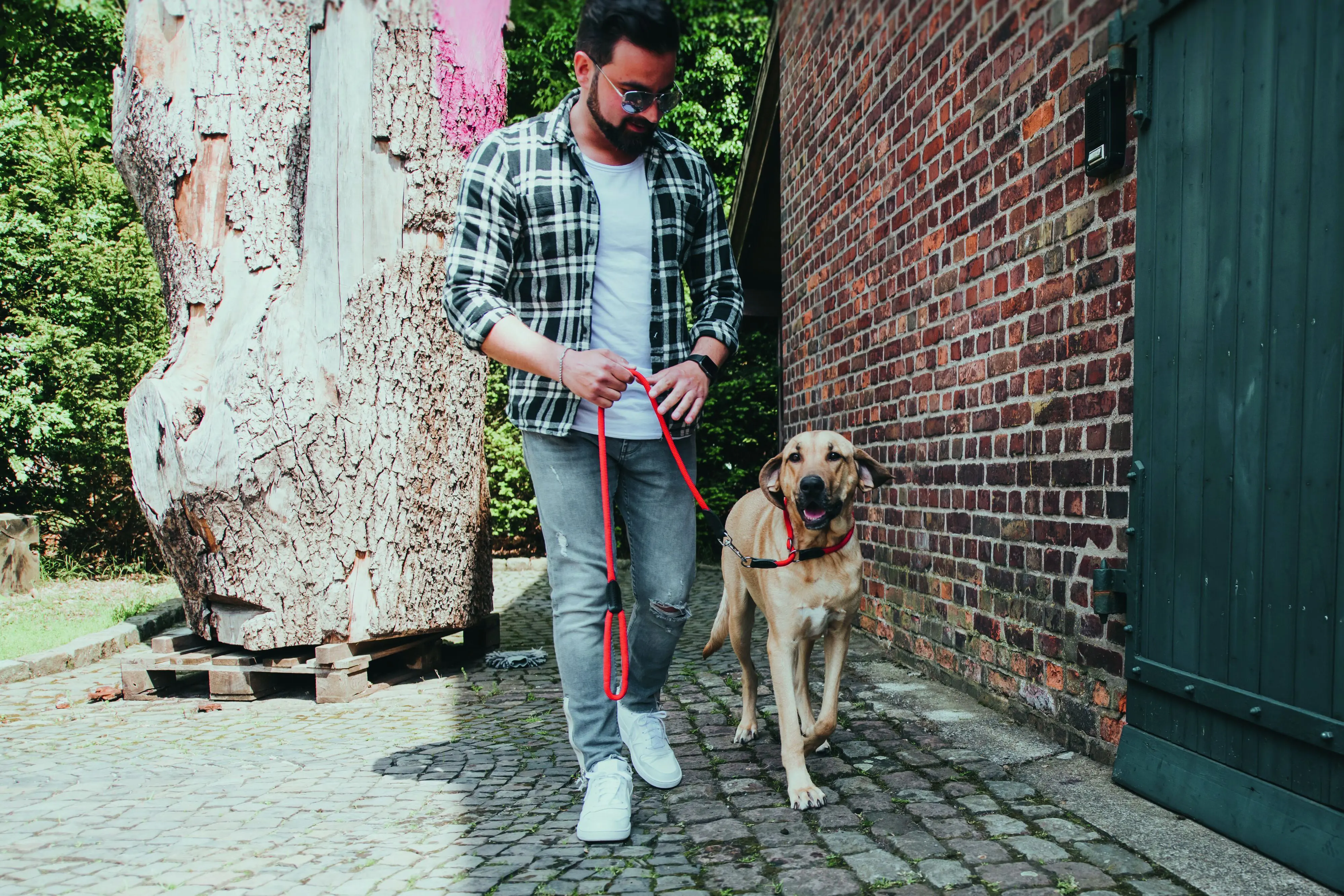 Hunter Hundehalsband Freestyle M rot