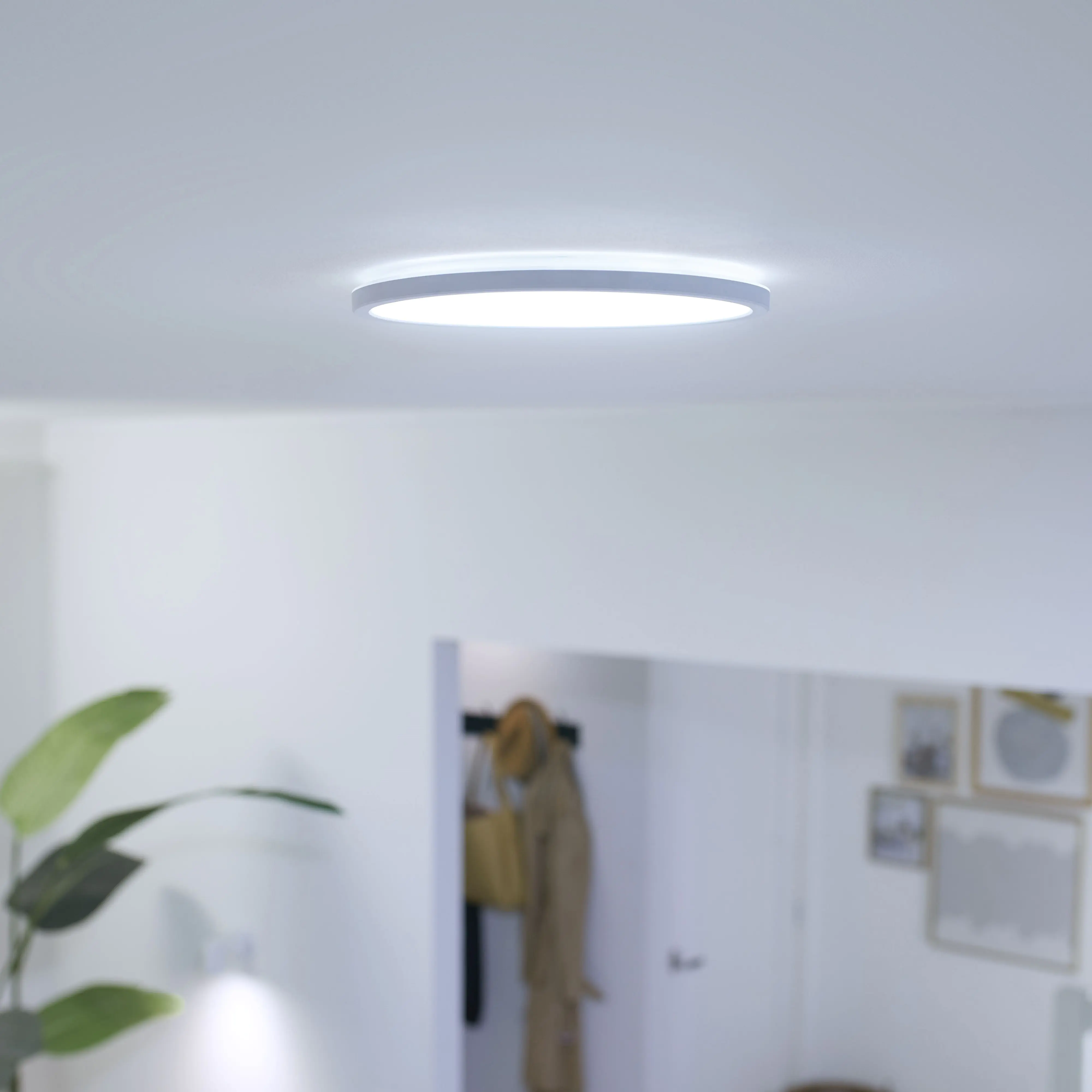 WIZ LED-Deckenleuchte SuperSlim 24 x 2 cm 14W warmweiß bis kaltweiß smart weiß