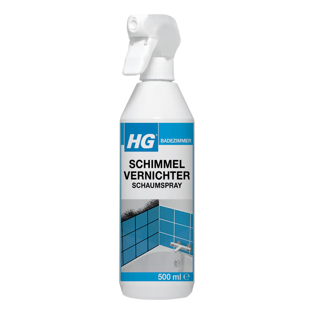 HG Schimmel Vernichter Schaumspray 500 ml
