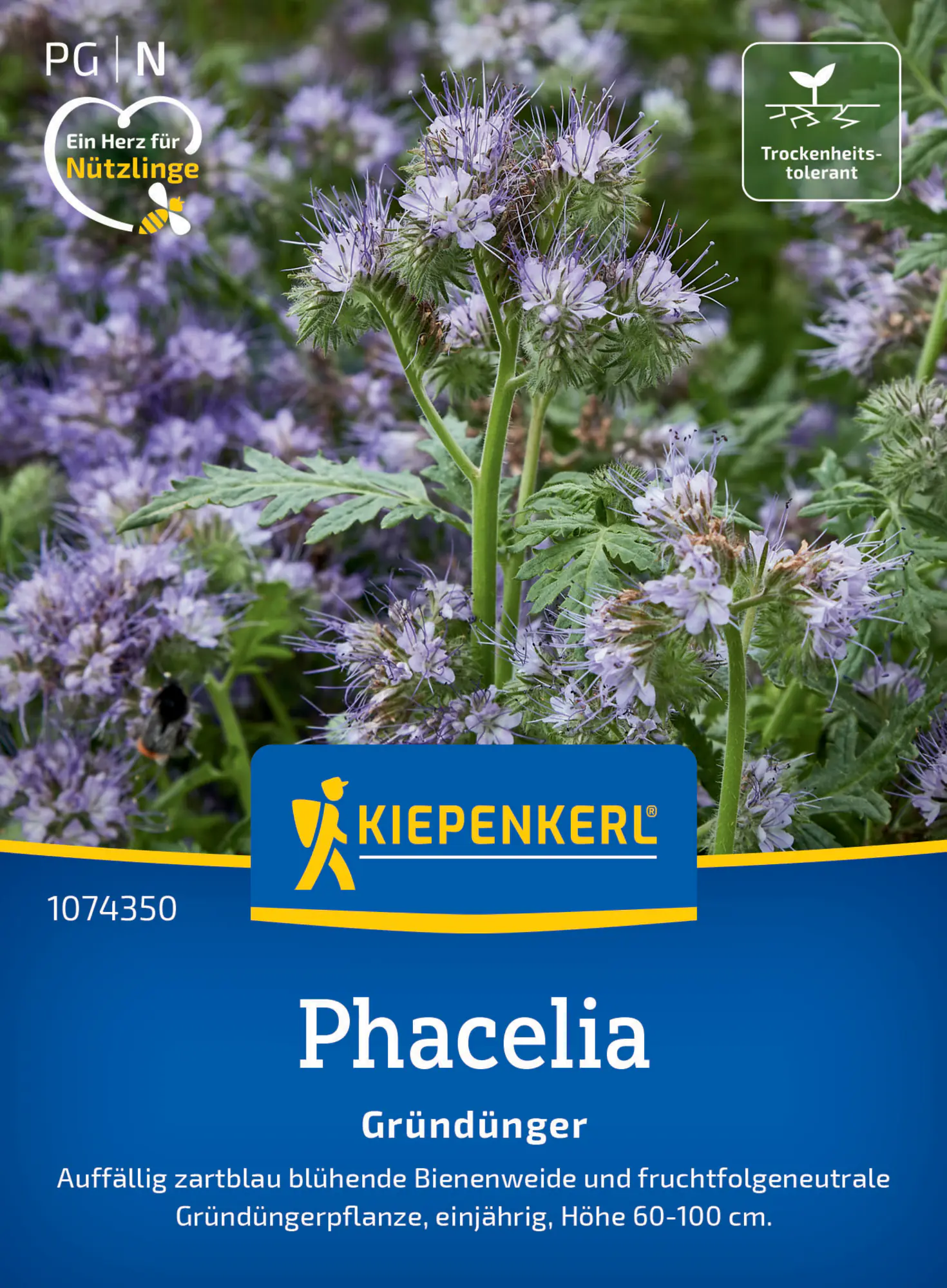 Kiepenkerl Gründünger Phaceliasamen Bienenfreund für ca. 25 m²