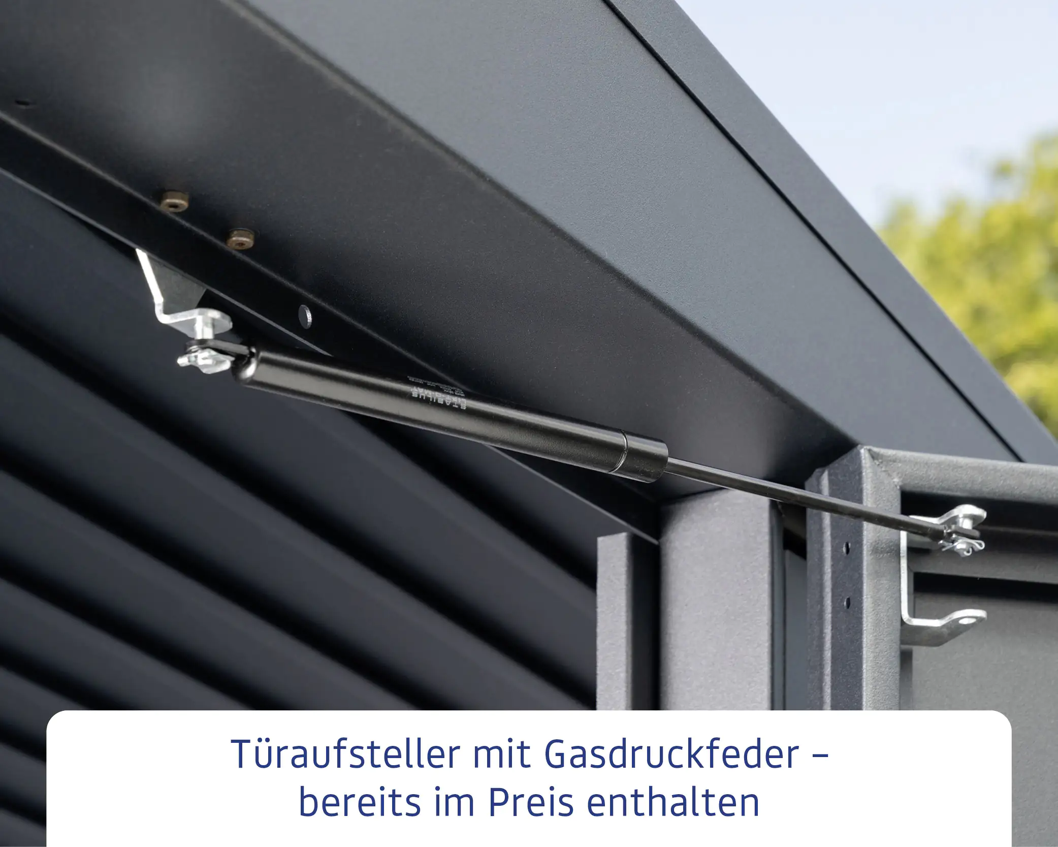 EcoStar Gerätehaus Elegant-P Typ 1 moosgrün 247,9 x 153 x 228,6 cm