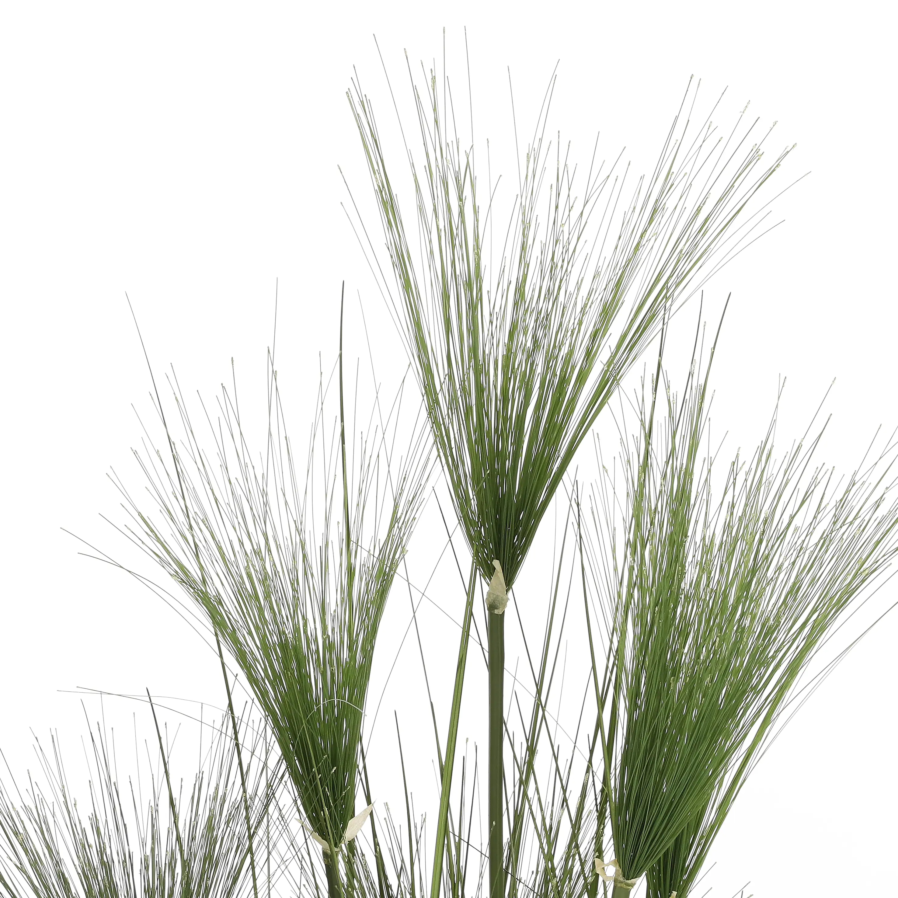 Mica Kunstpflanze Papyrus grün im Topf 150 cm