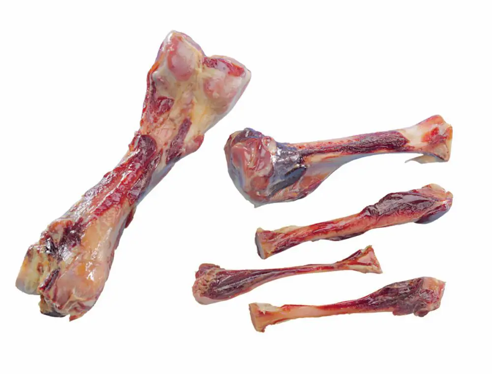 Nobby Italienischer Schinkenknochen 16 cm 3er-Pack