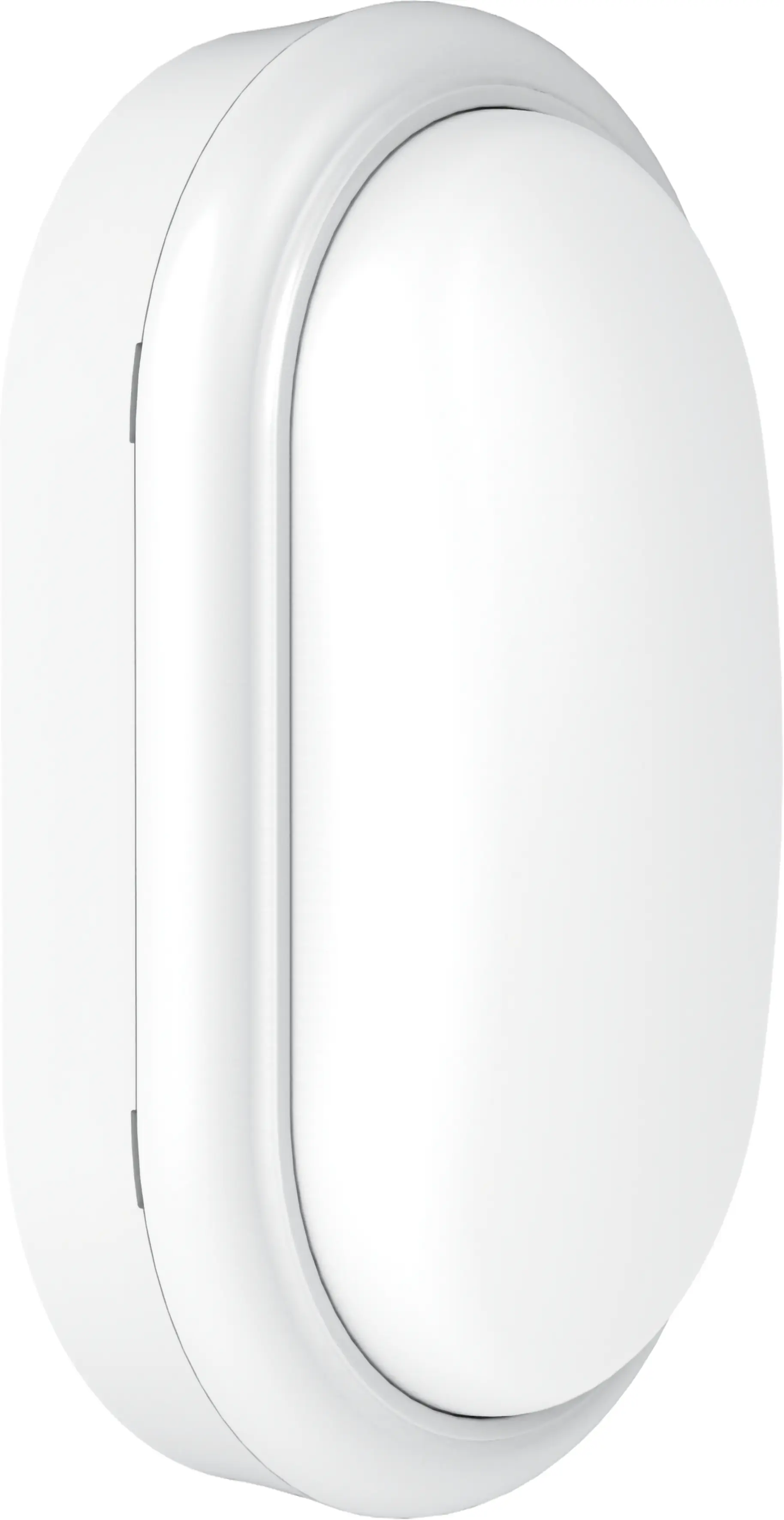 Philips LED Außenwandleuchte ProjectLine oval neutralweiß