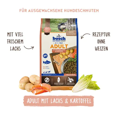 Bosch Hundetrockenfutter Adult 3 kg Lach & Kartoffel 