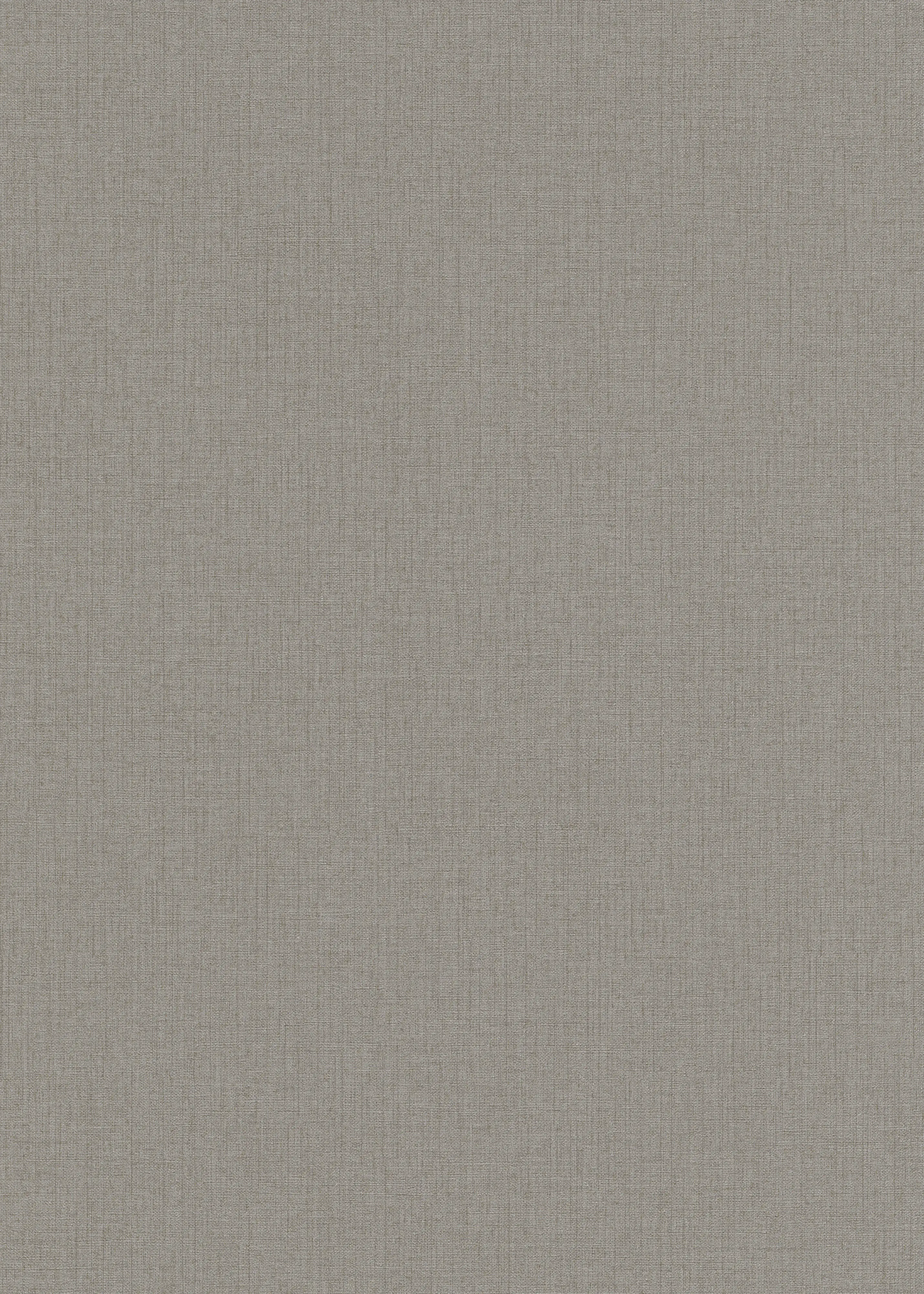 Erismann Vliestapete 10215-37 Code Nature uni taupe 10,05 x 0,53 m