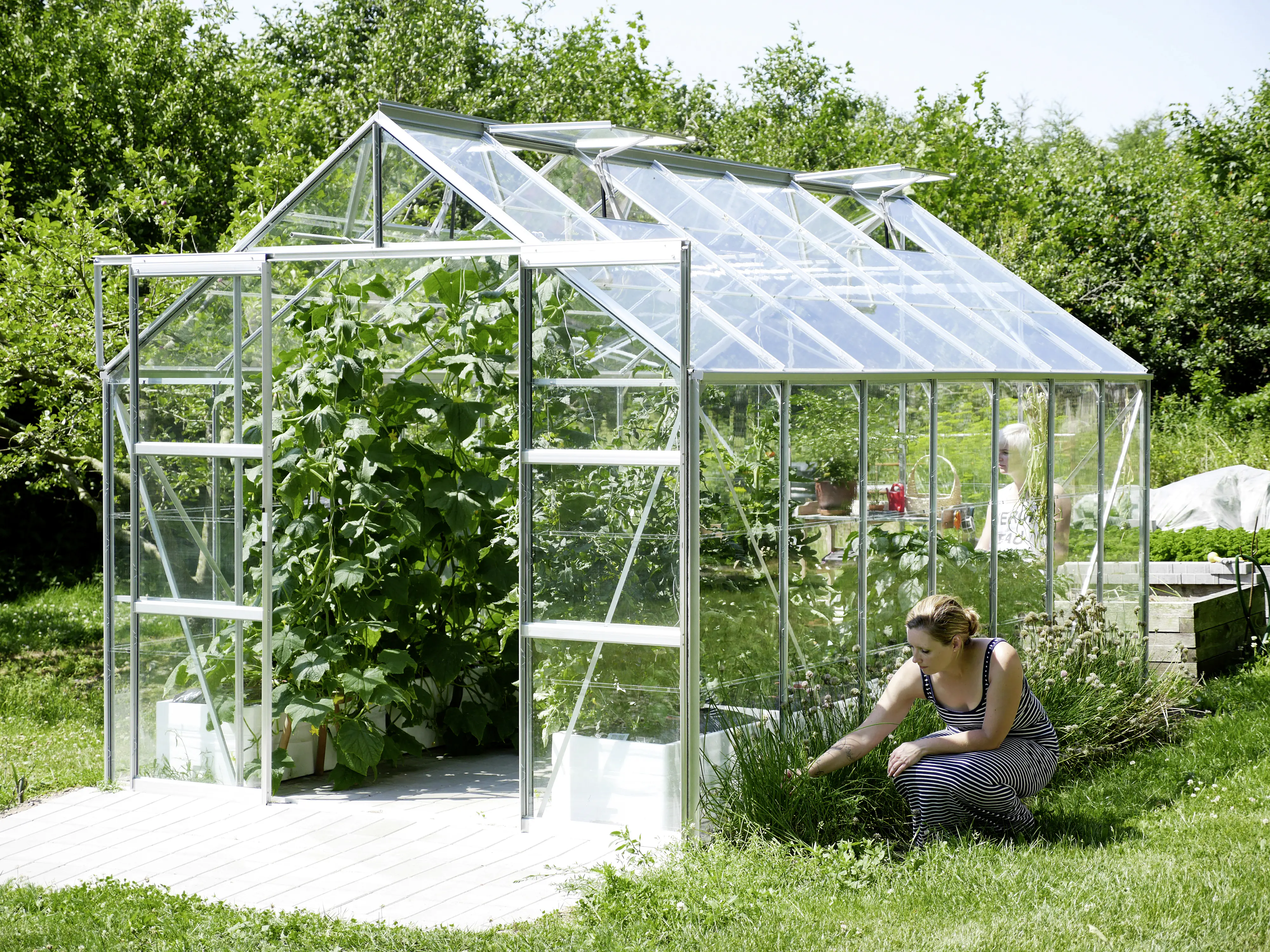 Vitavia Gewächshaus Uranus 11500 ESG 3 mm 254 x 441 cm