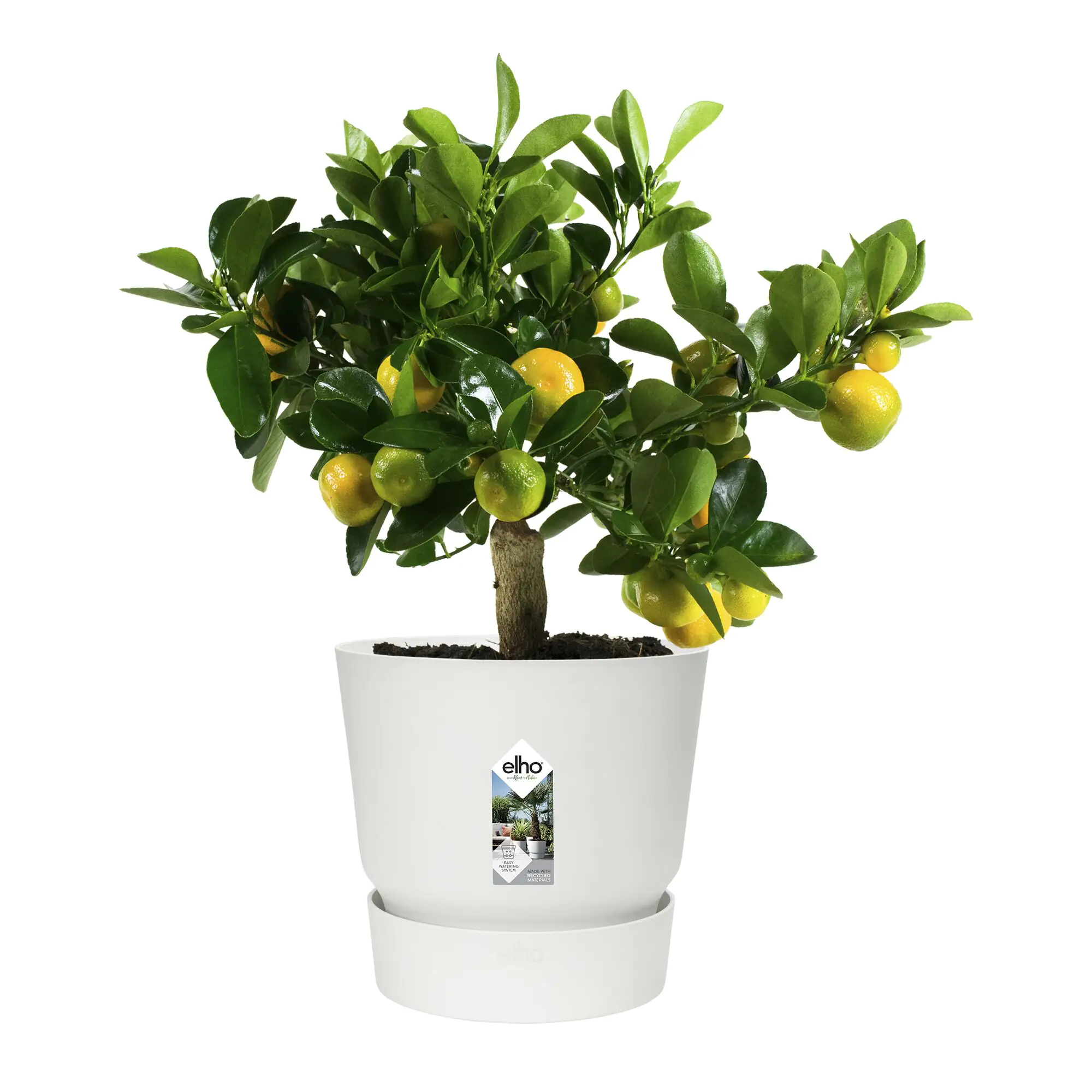 Elho Pflanztopf Greenville Ø 47 x 44 cm weiß