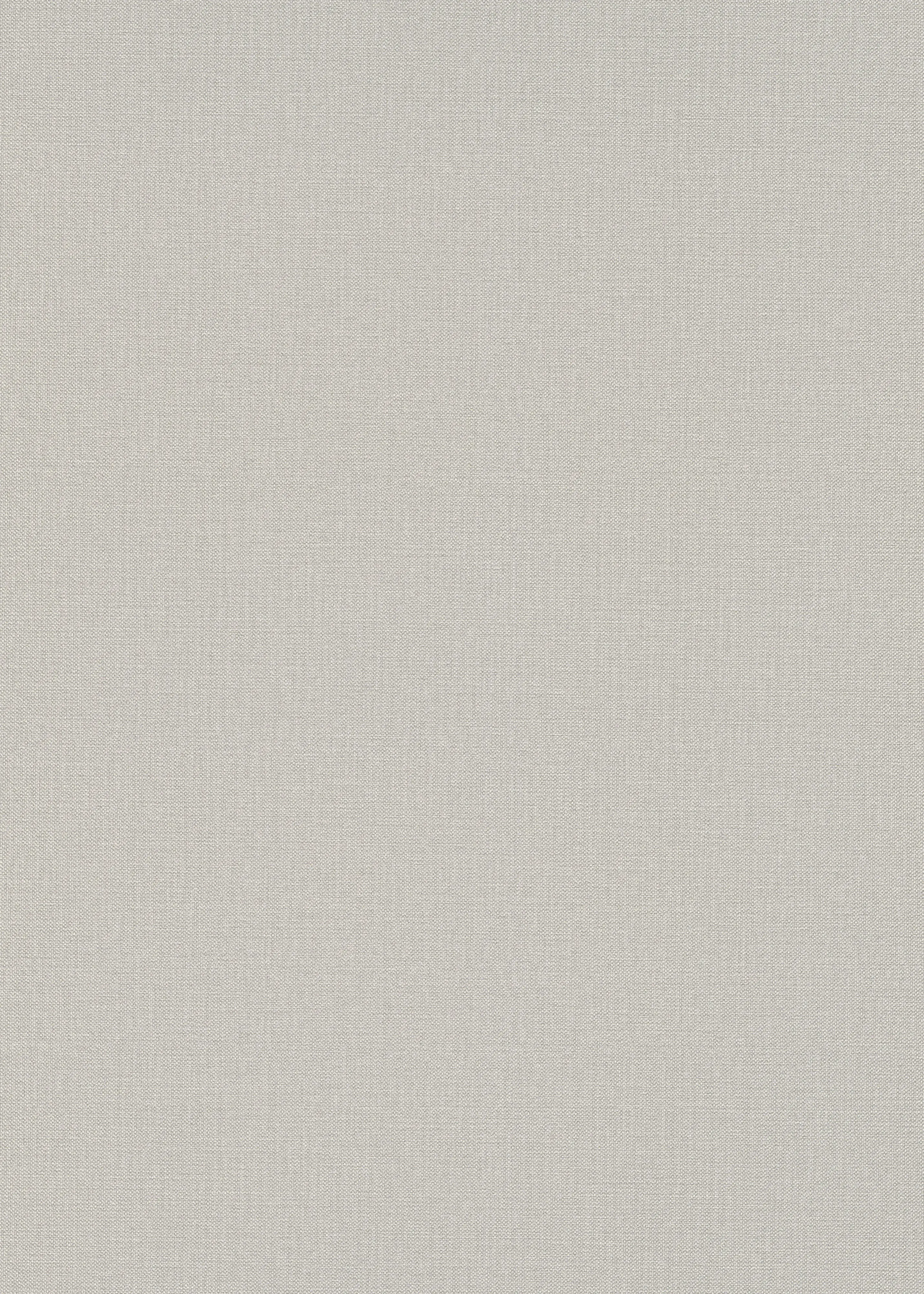 Erismann Vliestapete Uni taupe 10,05 x 0,53 m