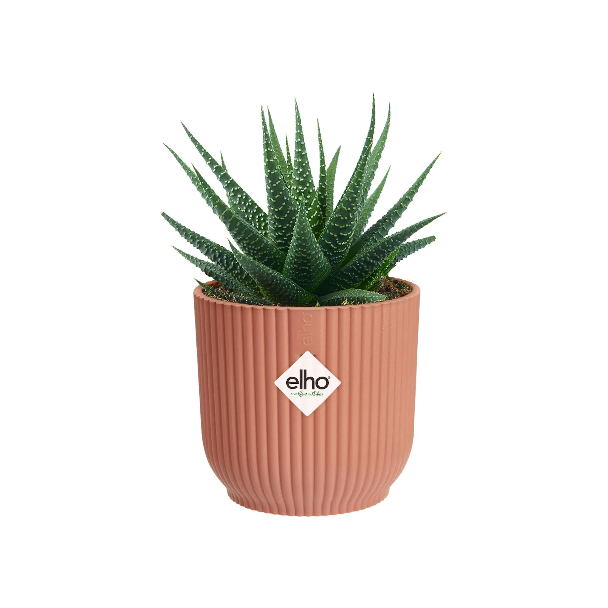 Elho Blumentopf Vibes Fold Ø 11 x 11 cm zartrosa