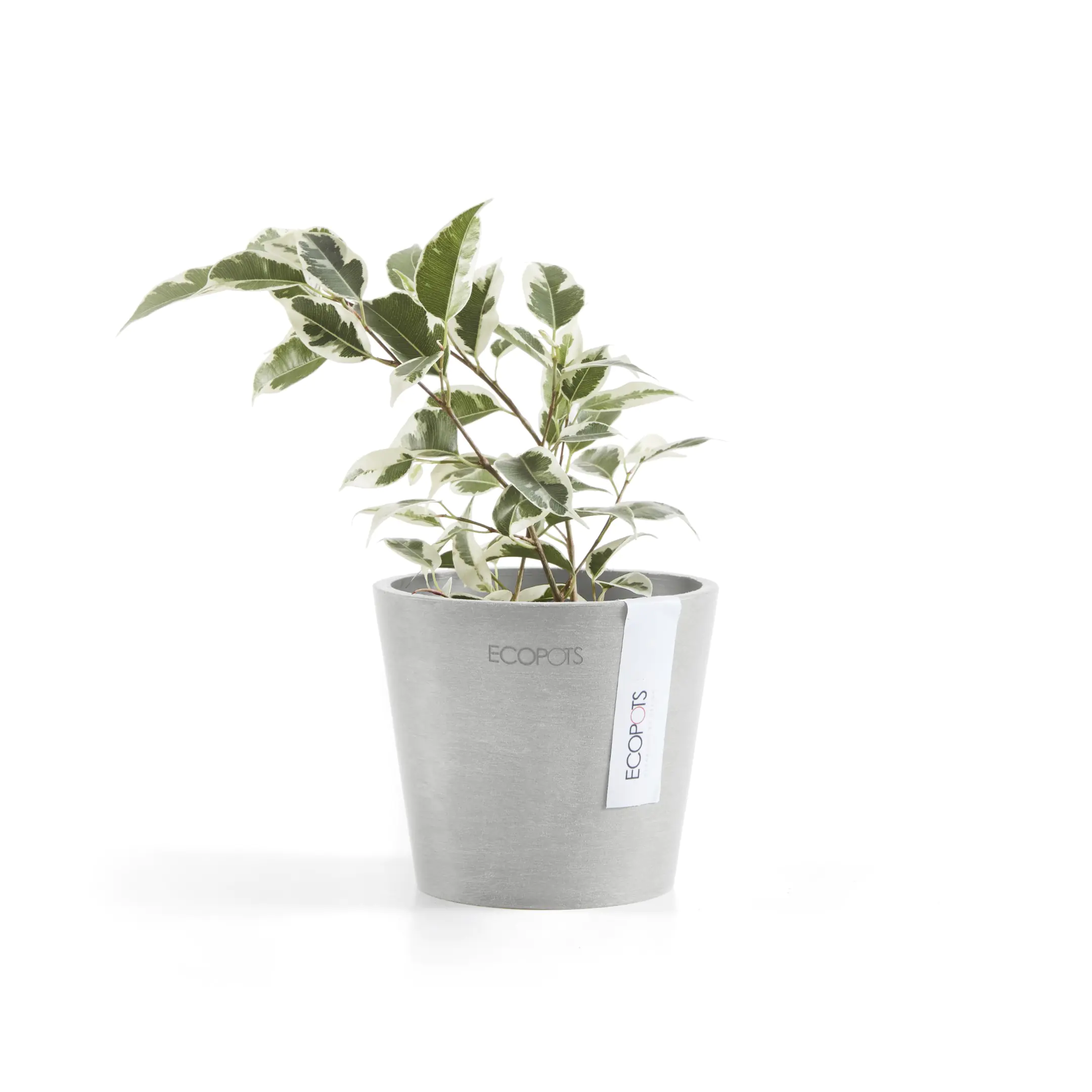 Ecopots Übertopf Amsterdam Kunststoff weißgrau Ø 10,5 x 9 cm