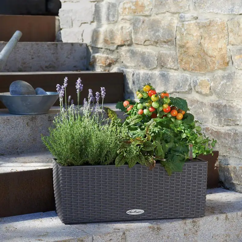 Lechuza Balkonkasten BALCONERA Cottage 50 cm, granit