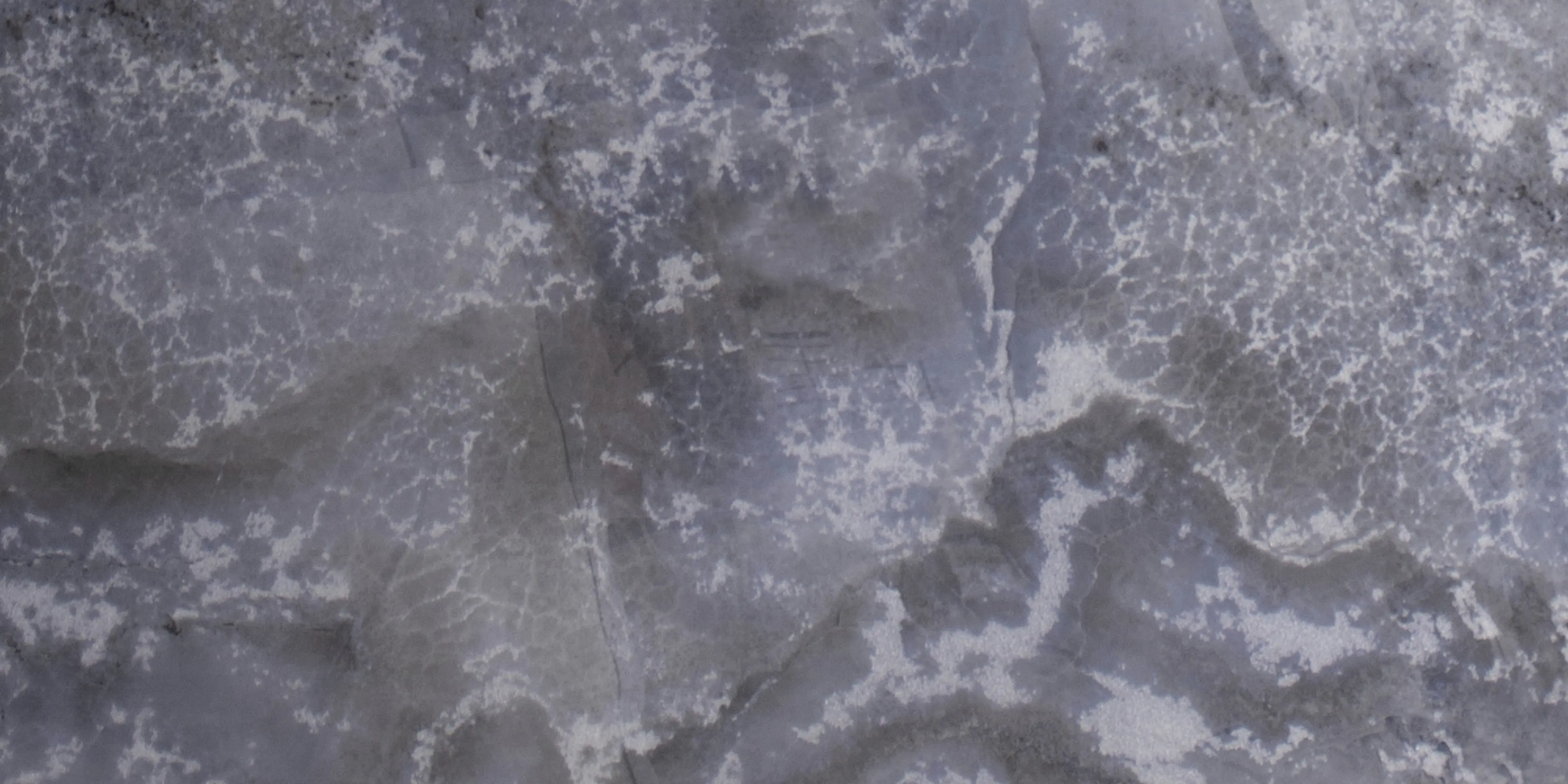 Bodenfliese Feinsteinzeug Dia Nova 60 x 120 cm saphire