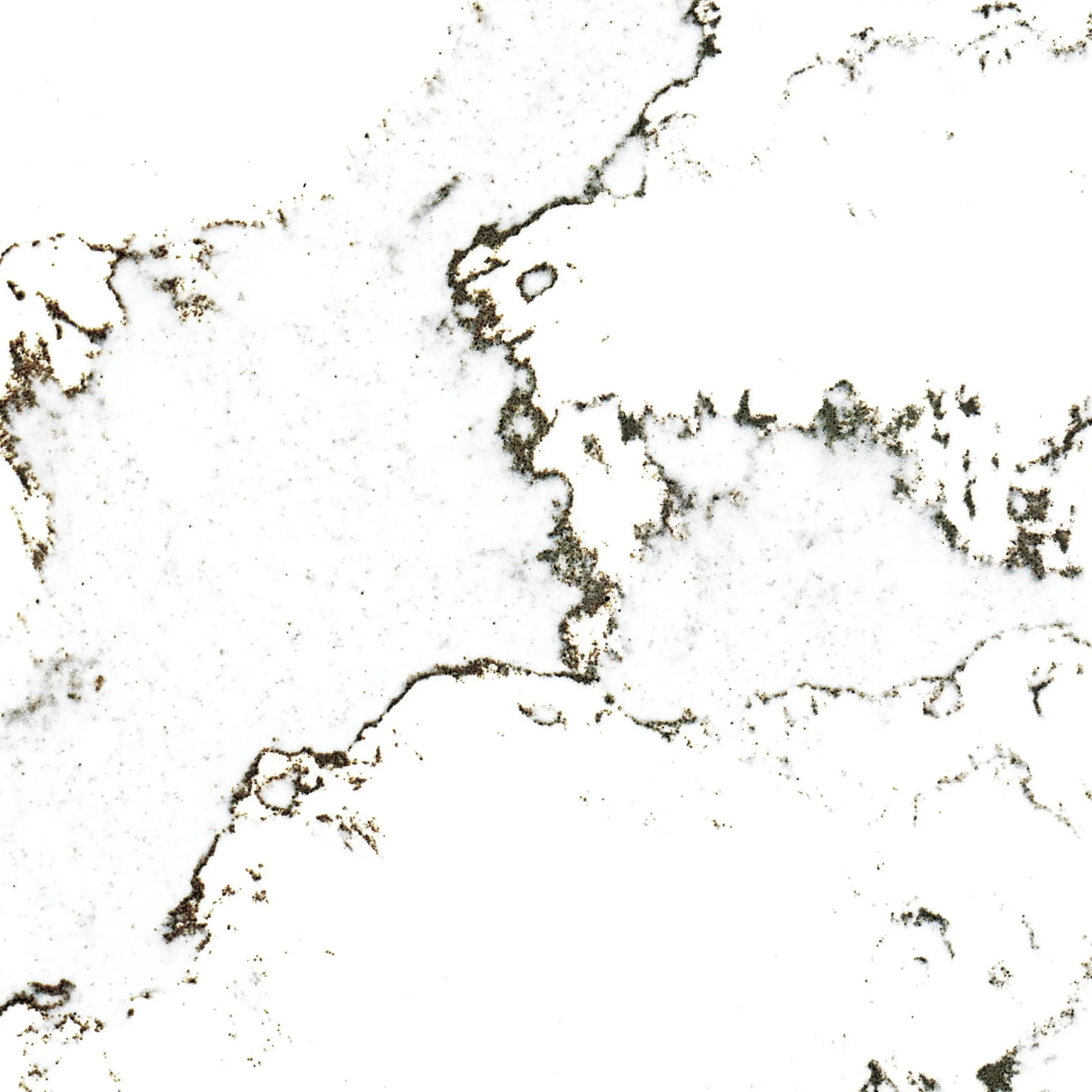Wetwall Alloy Wandpaneel  Calacatta Volegno 120 x 244 cm