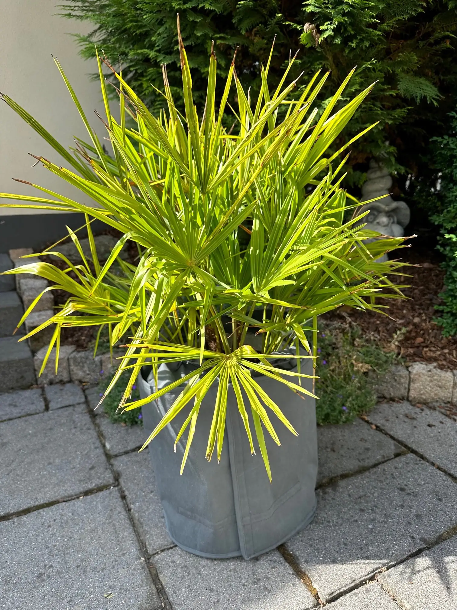 Kältetopfschutz Ø 40 cm x H. 40 cm grau