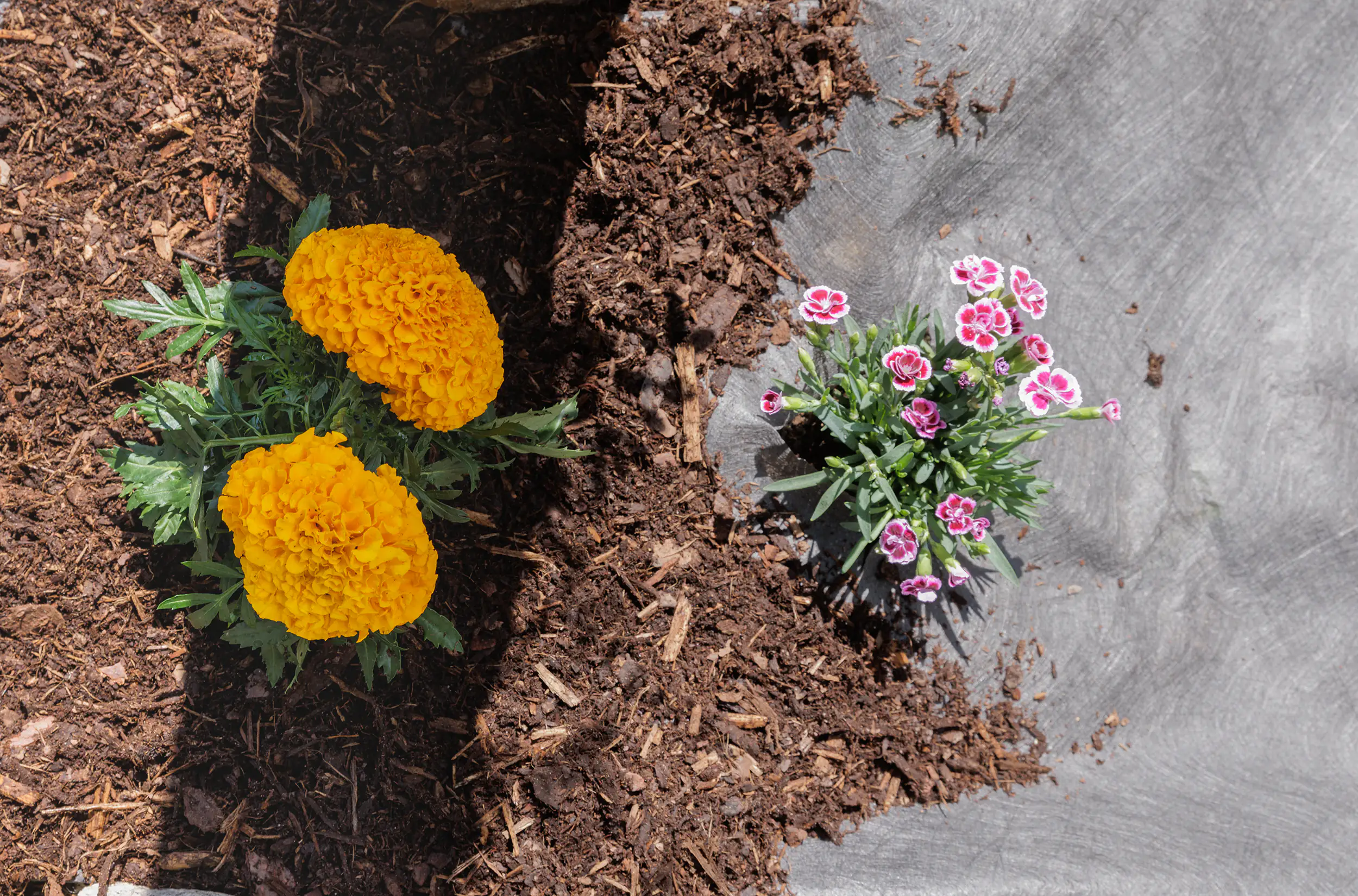 Premium Garden Unkrautvlies 1 x 25 m