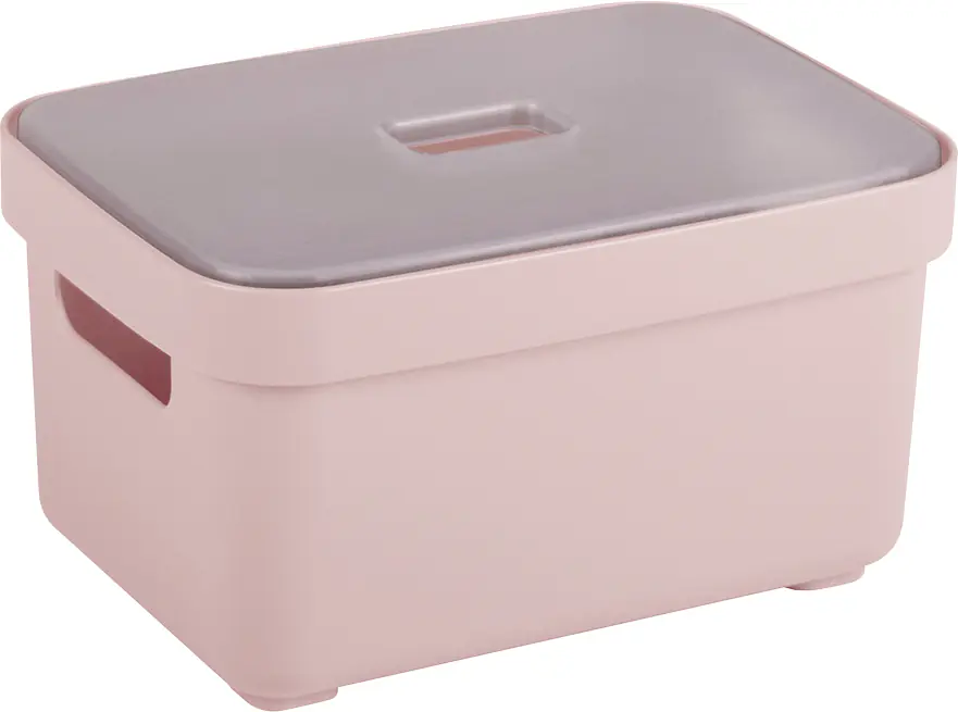 Sunware Aufbewahrungsbox Sigma Home mit Griffen 18 x 13 cm 2,5 L rosa