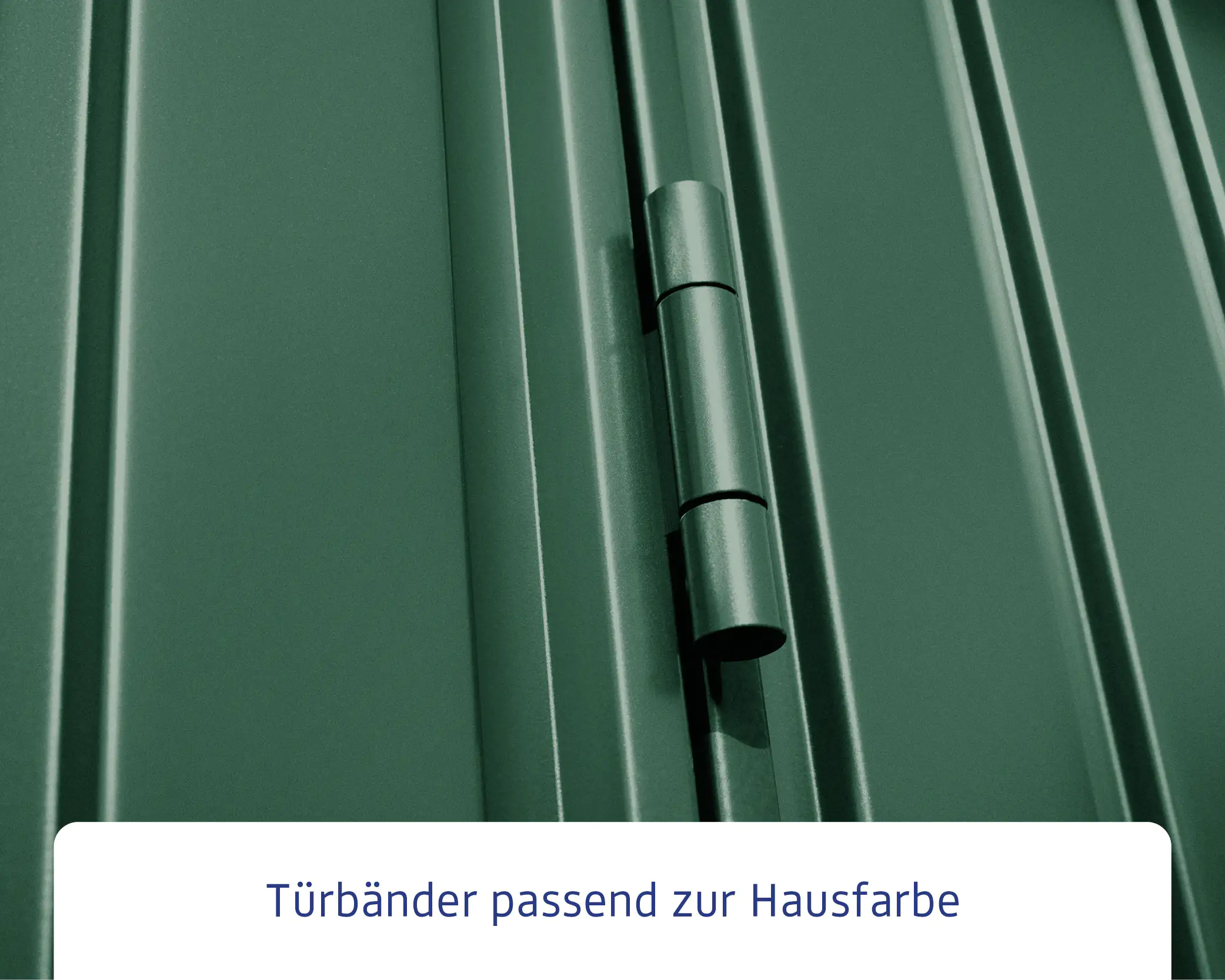 EcoStar Gerätehaus Trend-S Typ 2 258,8 x 247,7 x 216 cm moosgrün