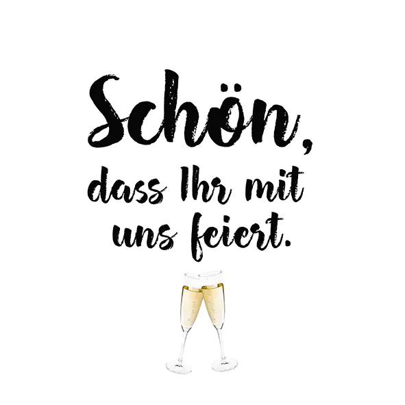 Braun & Company Servietten Schön Feiern 25 x 25 cm - 20er Pack