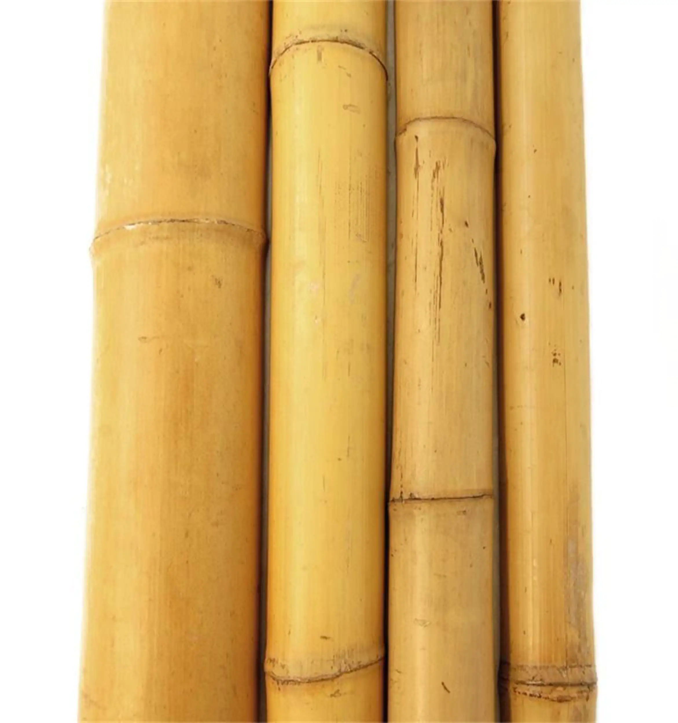 Bambusrohr 180 cm Ø 10/12 cm