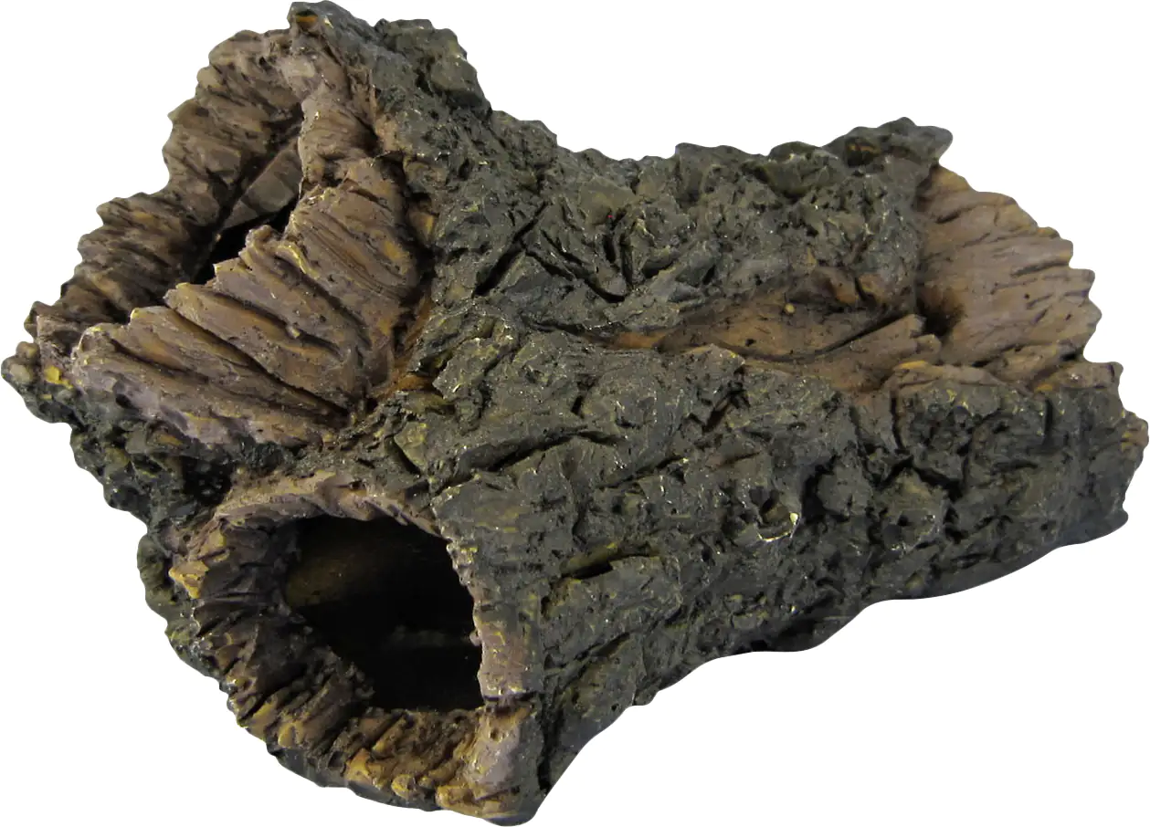 Orbit Welshöhle