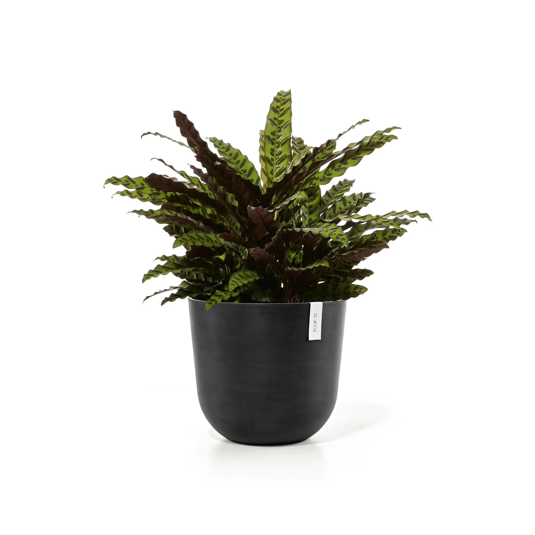 Ecopots Pflanztopf Oslo Ø 45 x 39,2 cm dunkelgrau