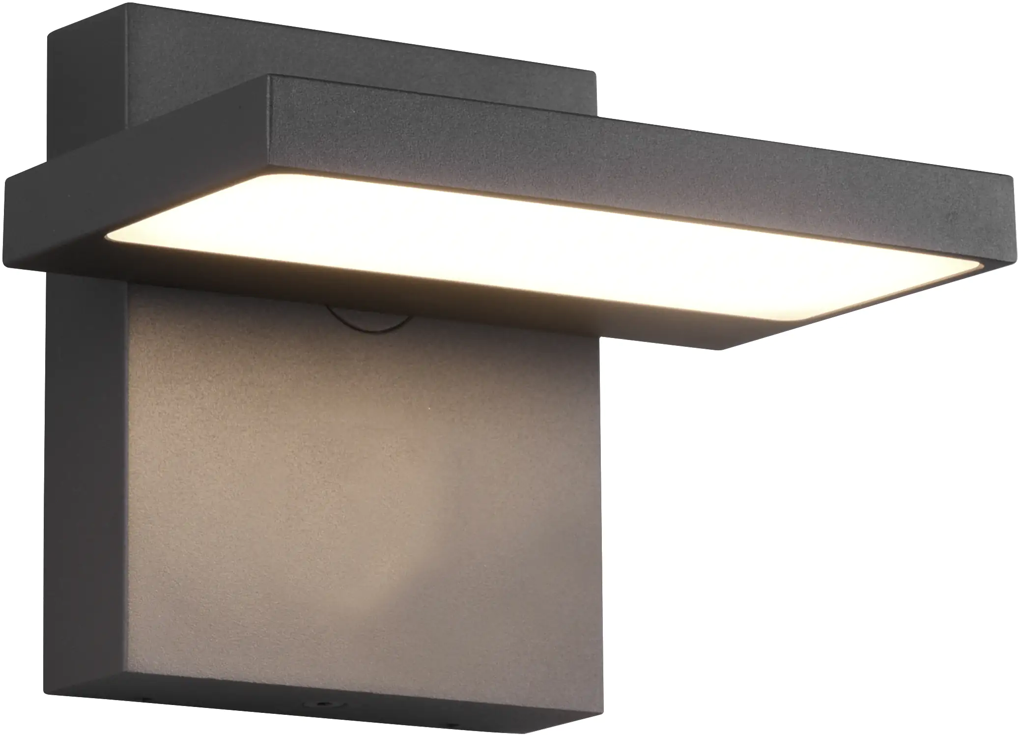 Trio Leuchten LED Außen-Wandleuchte Horton anthrazit schwenkbar