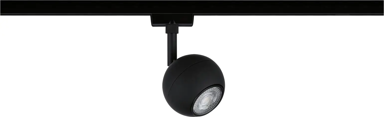 Paulmann URail Einzelspot Tup schwarz matt GU10 