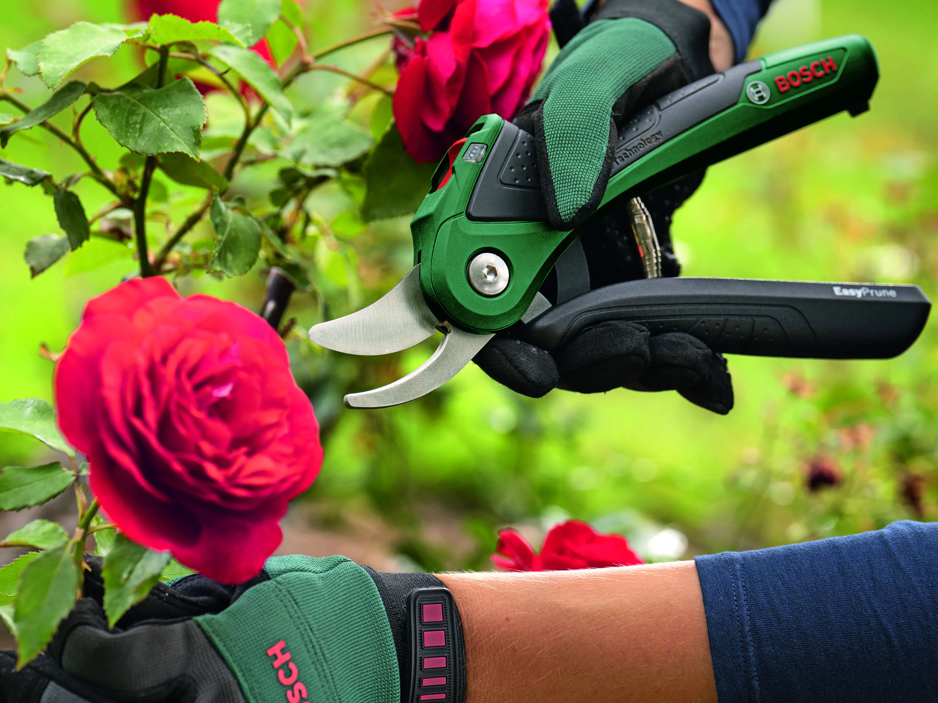 Bosch Akku-Gartenschere EasyPrune inkl. Ladekabel