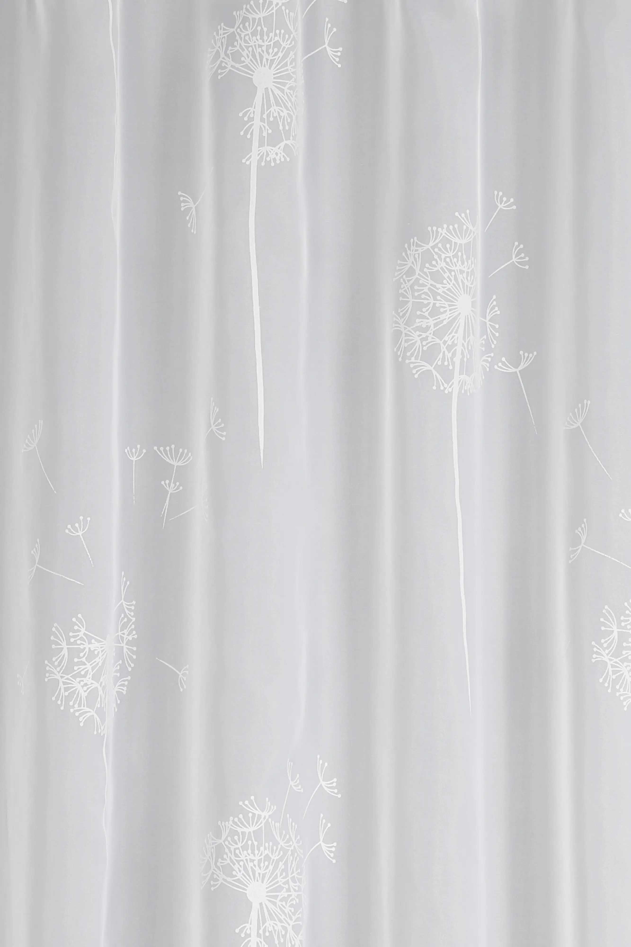 Sehlbach Schlaufenschal mit Gardinenband Pusteblume weiß 140 x 245 cm
