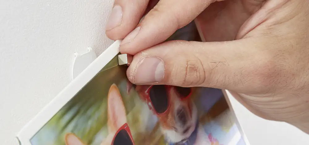Fischer Magnetkralle Macht jede Wand zur Magnettafel