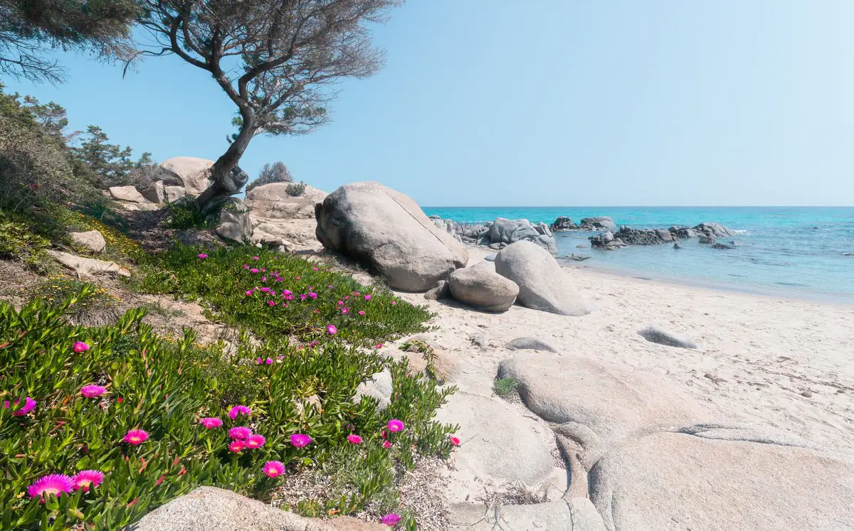 Komar Vlies Fototapete Mediterrane Träume 450 x 280 cm 