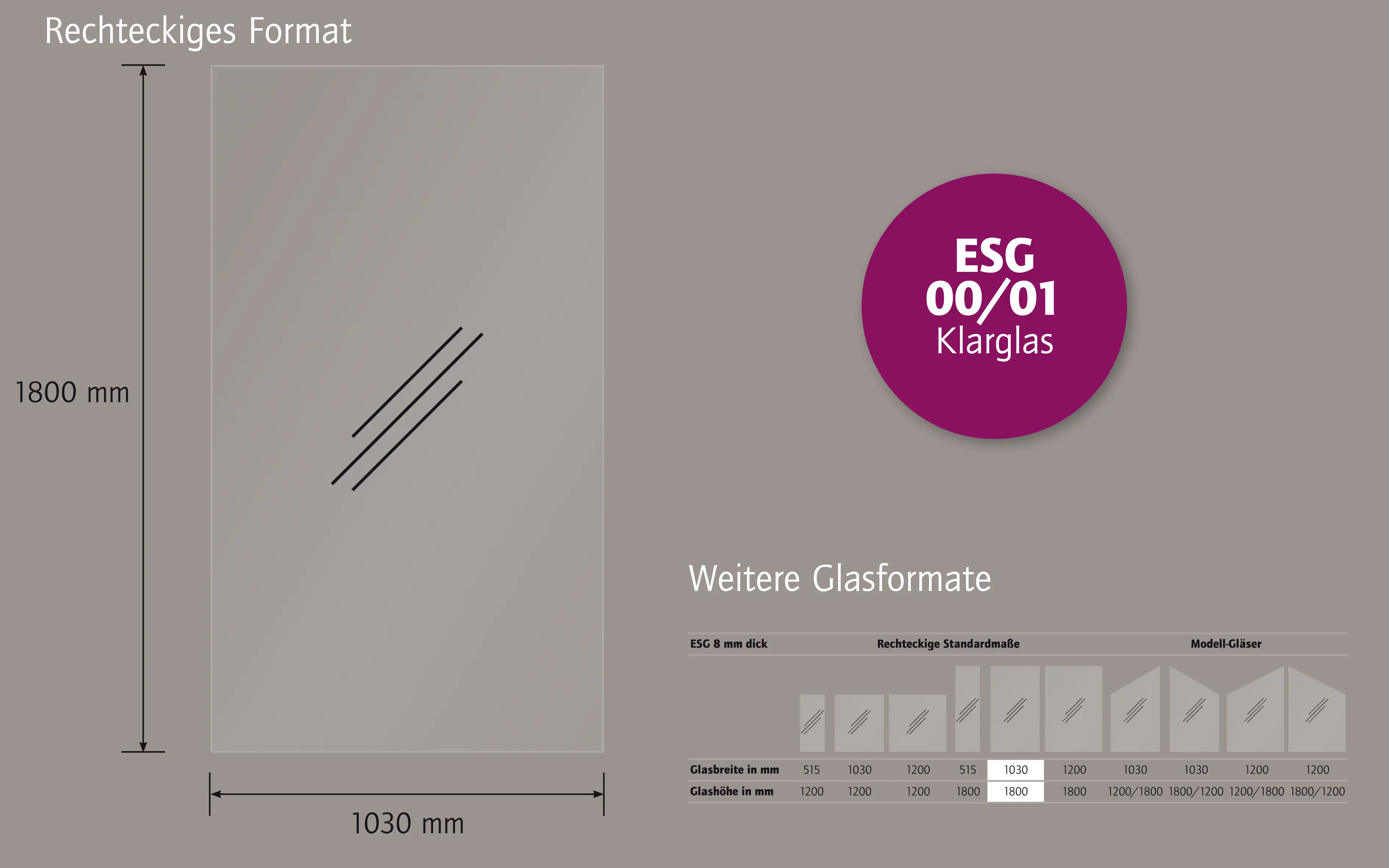 Ambiente Glaszaun Dekor 00/01 103 x 180 cm gehärtetes 8 mm Glas